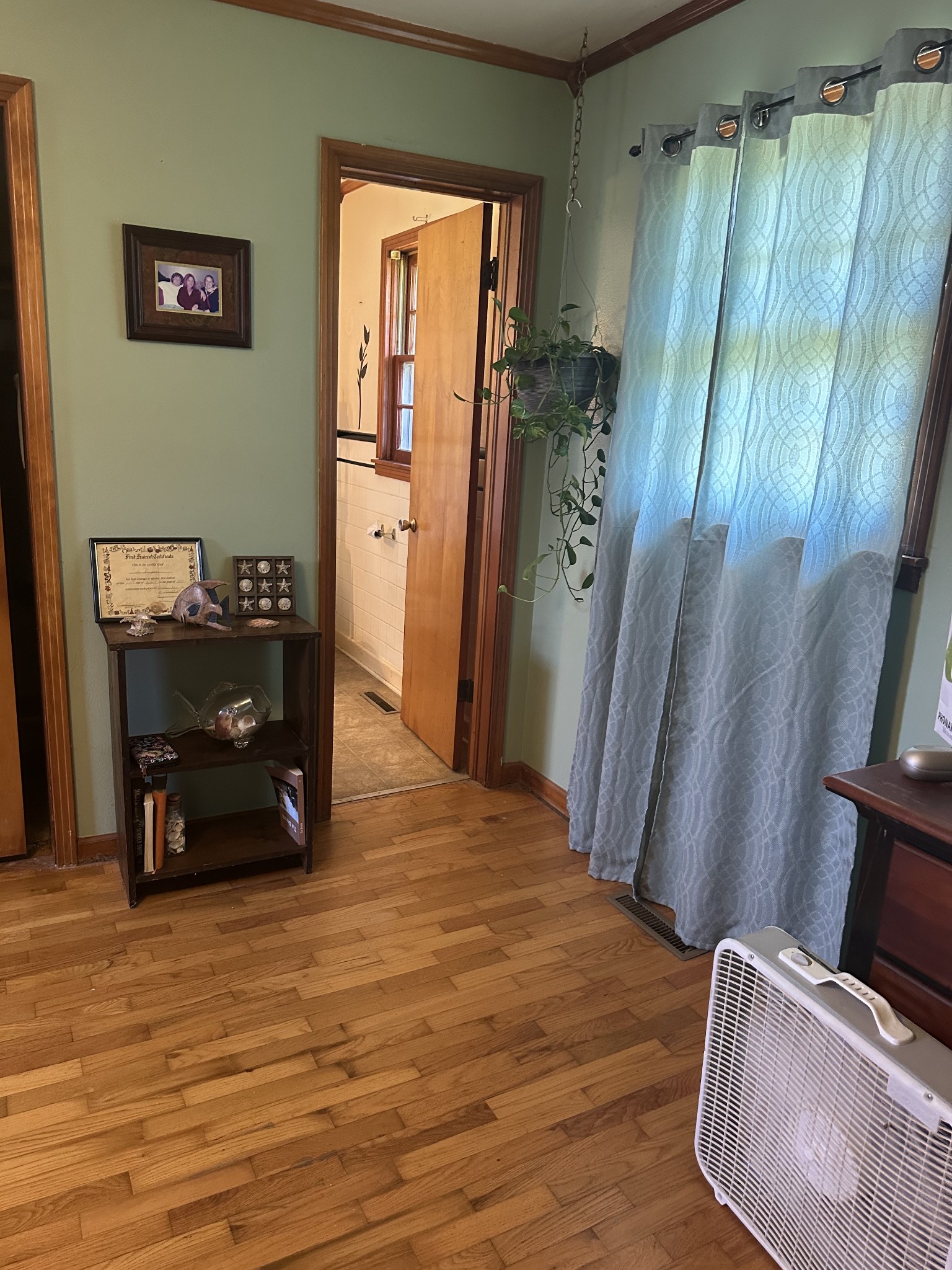 16572 Highway 211 Property Photo 33