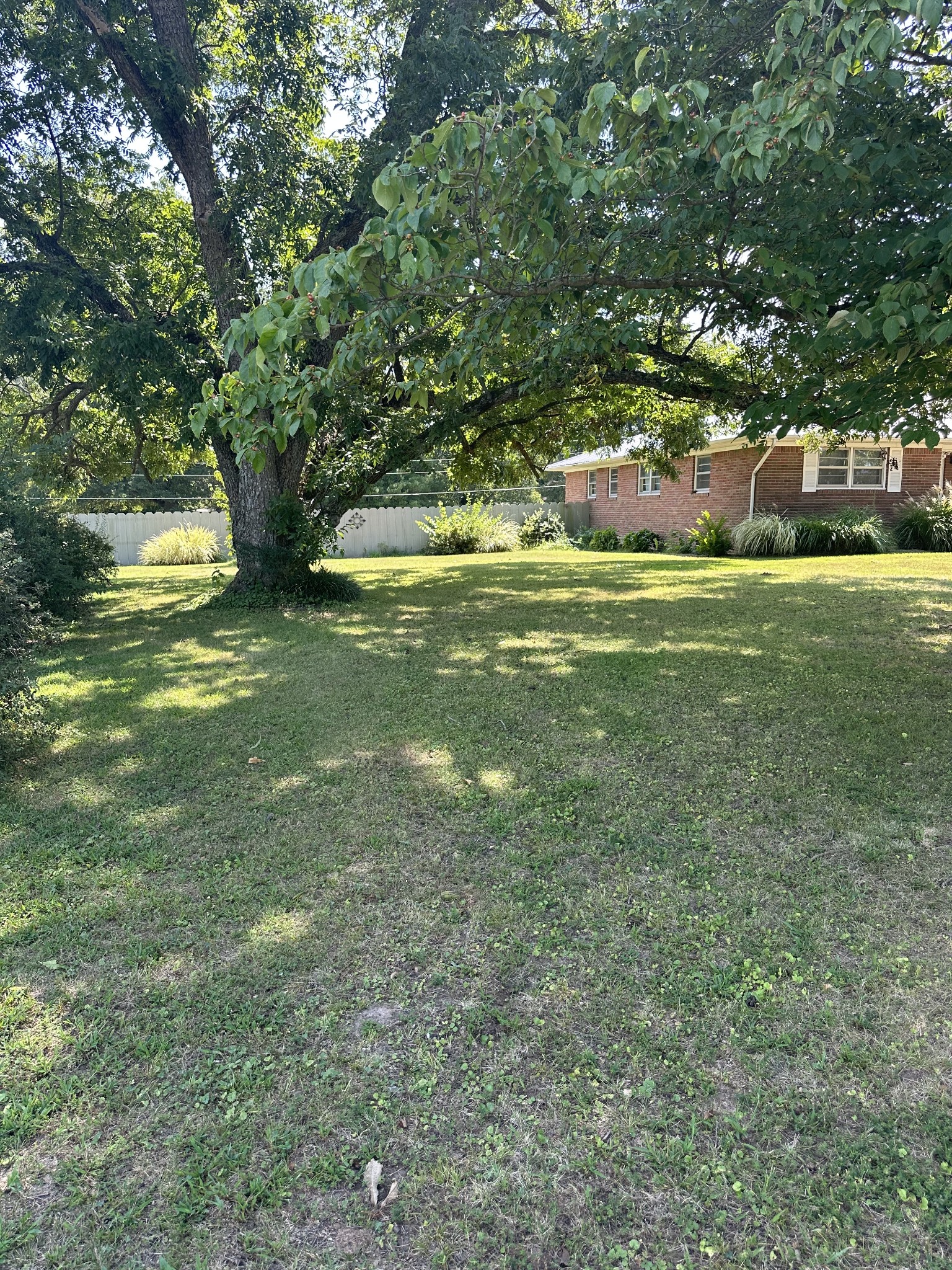 16572 Highway 211 Property Photo 52