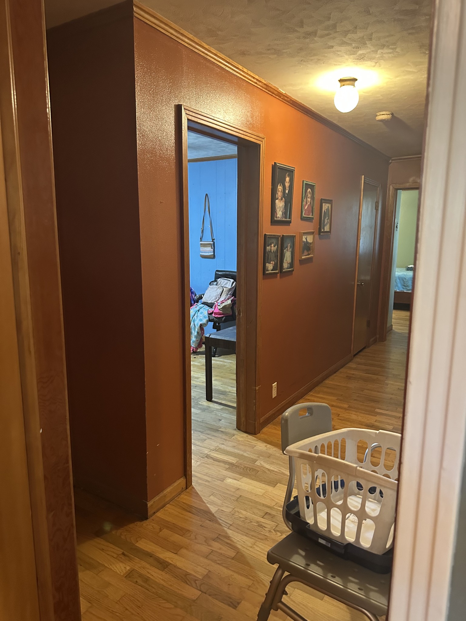 16572 Highway 211 Property Photo 54