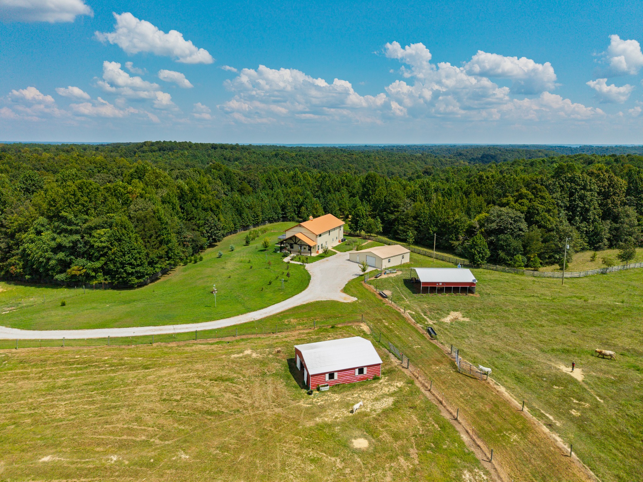 1221 Johnson Branch Rd Property Photo 5
