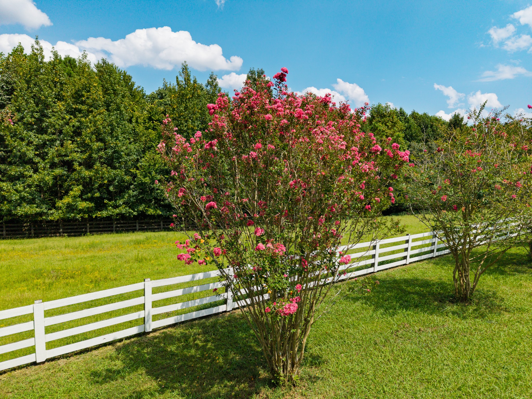 1221 Johnson Branch Rd Property Photo 57