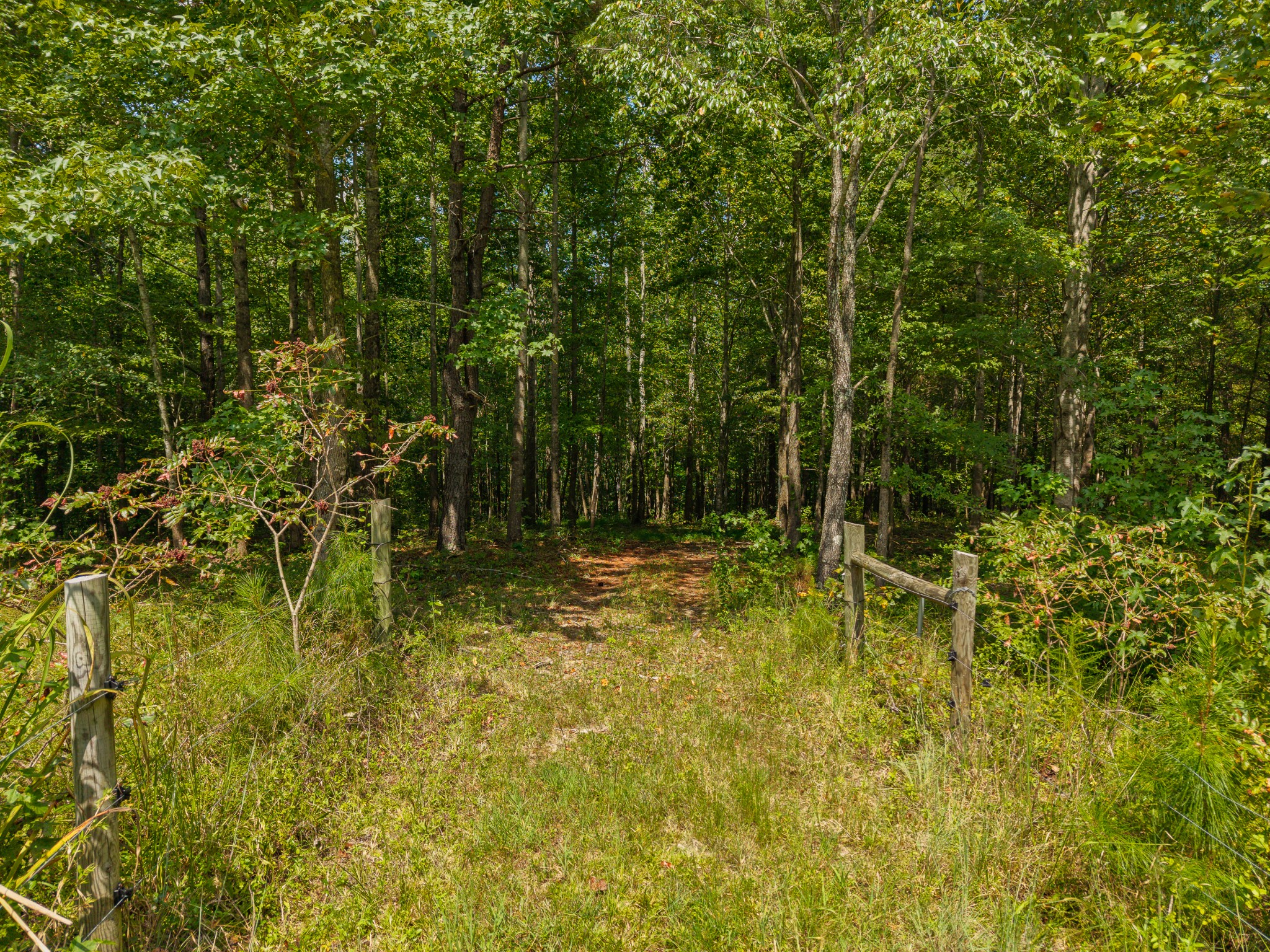 1221 Johnson Branch Rd Property Photo 74
