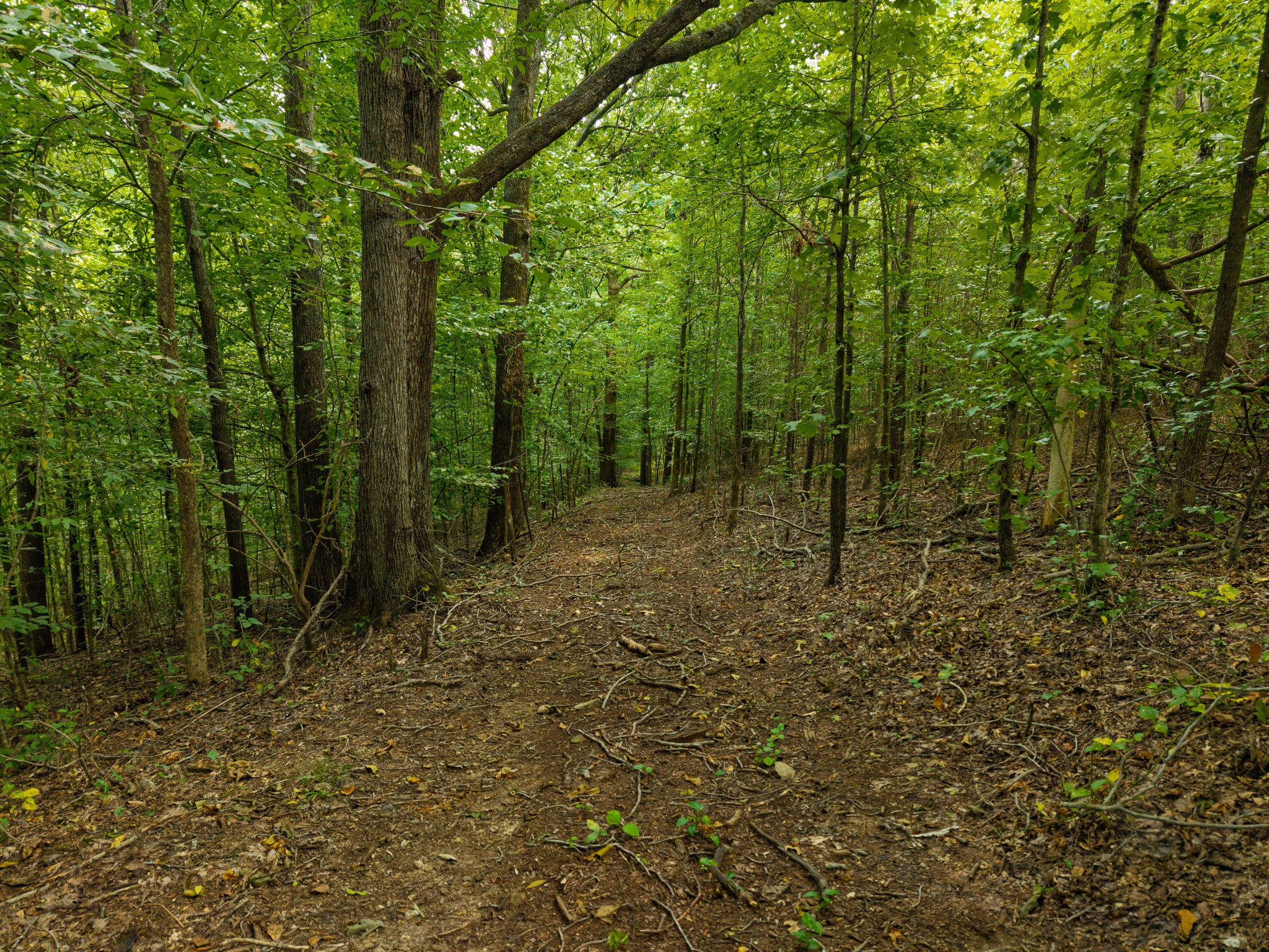1221 Johnson Branch Rd Property Photo 75