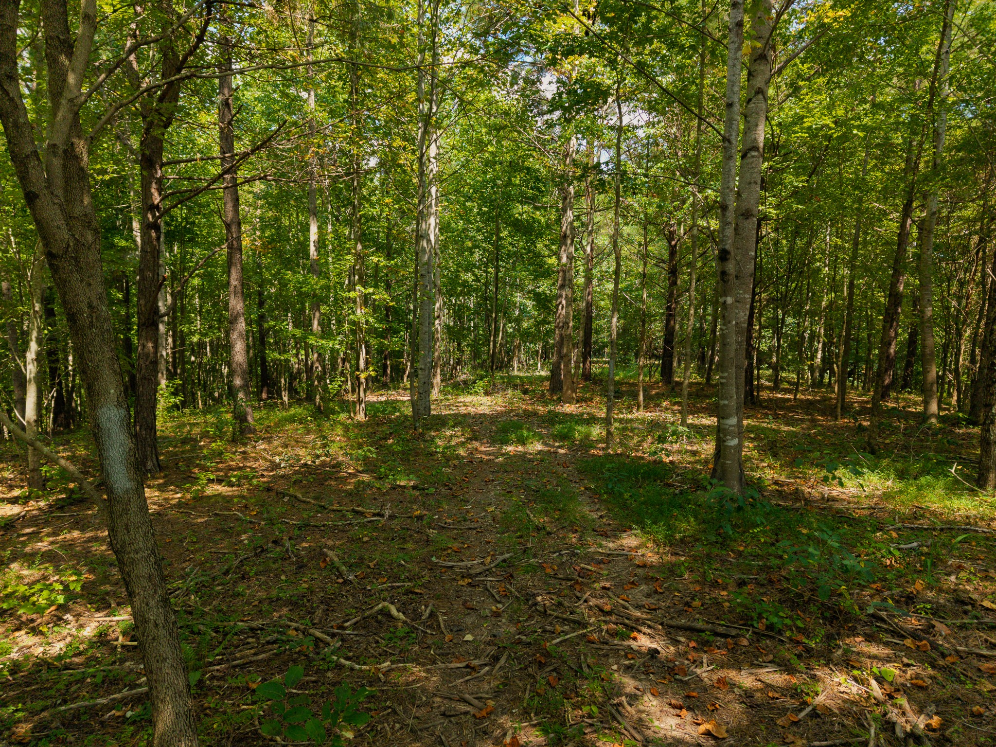 1221 Johnson Branch Rd Property Photo 76
