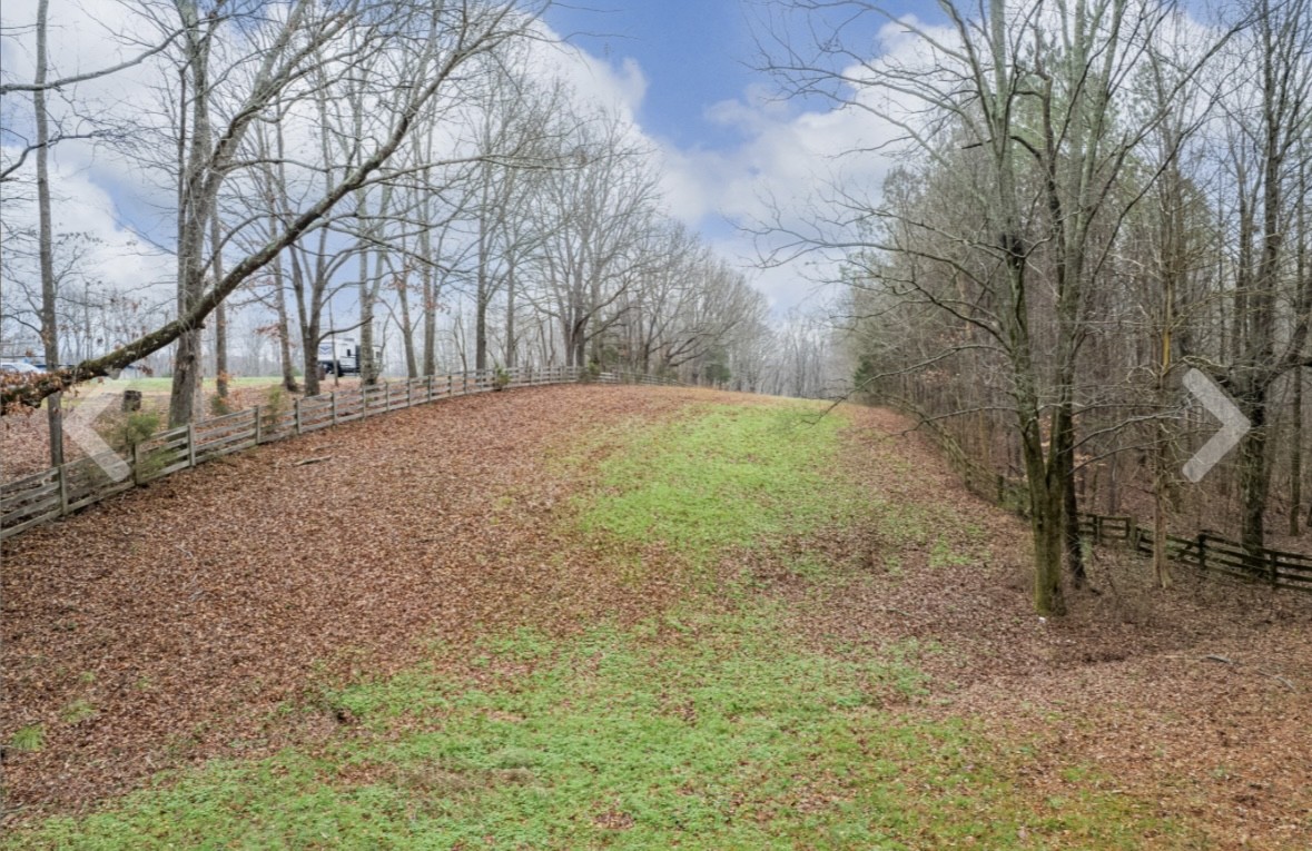 1221 Johnson Branch Rd Property Photo 87