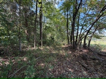 1970 Graham Cypress Rd