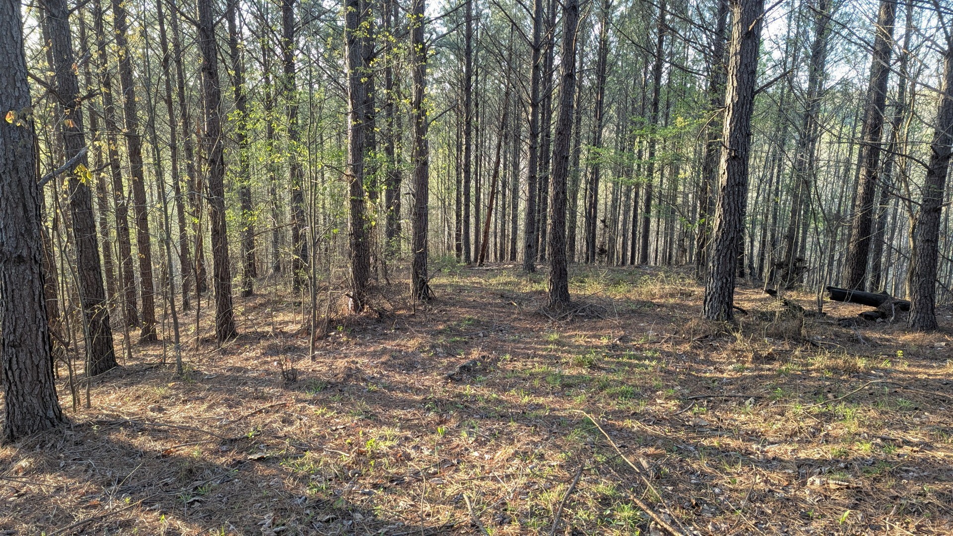 628 Starlight Dr Property Photo 1