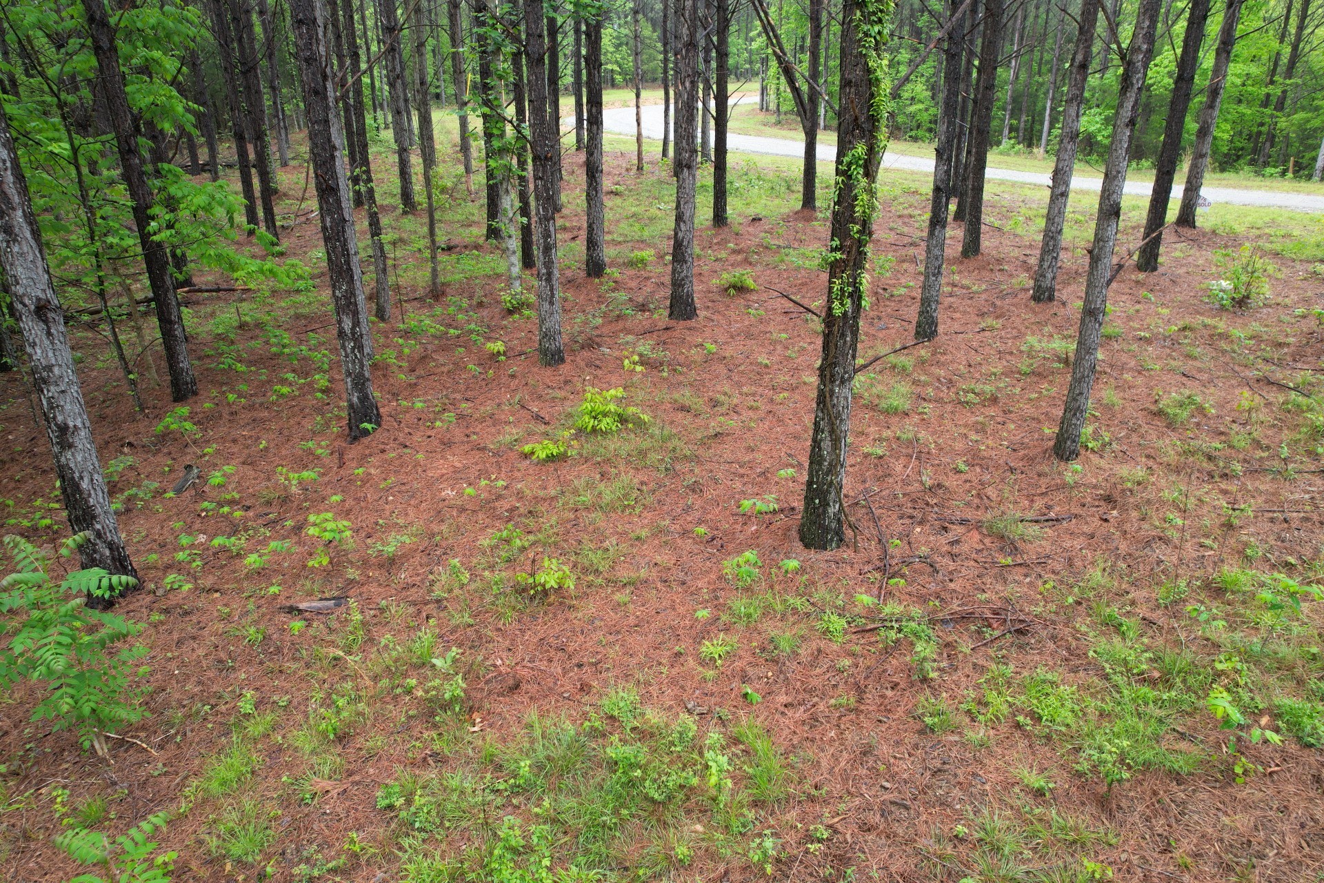628 Starlight Dr Property Photo 2