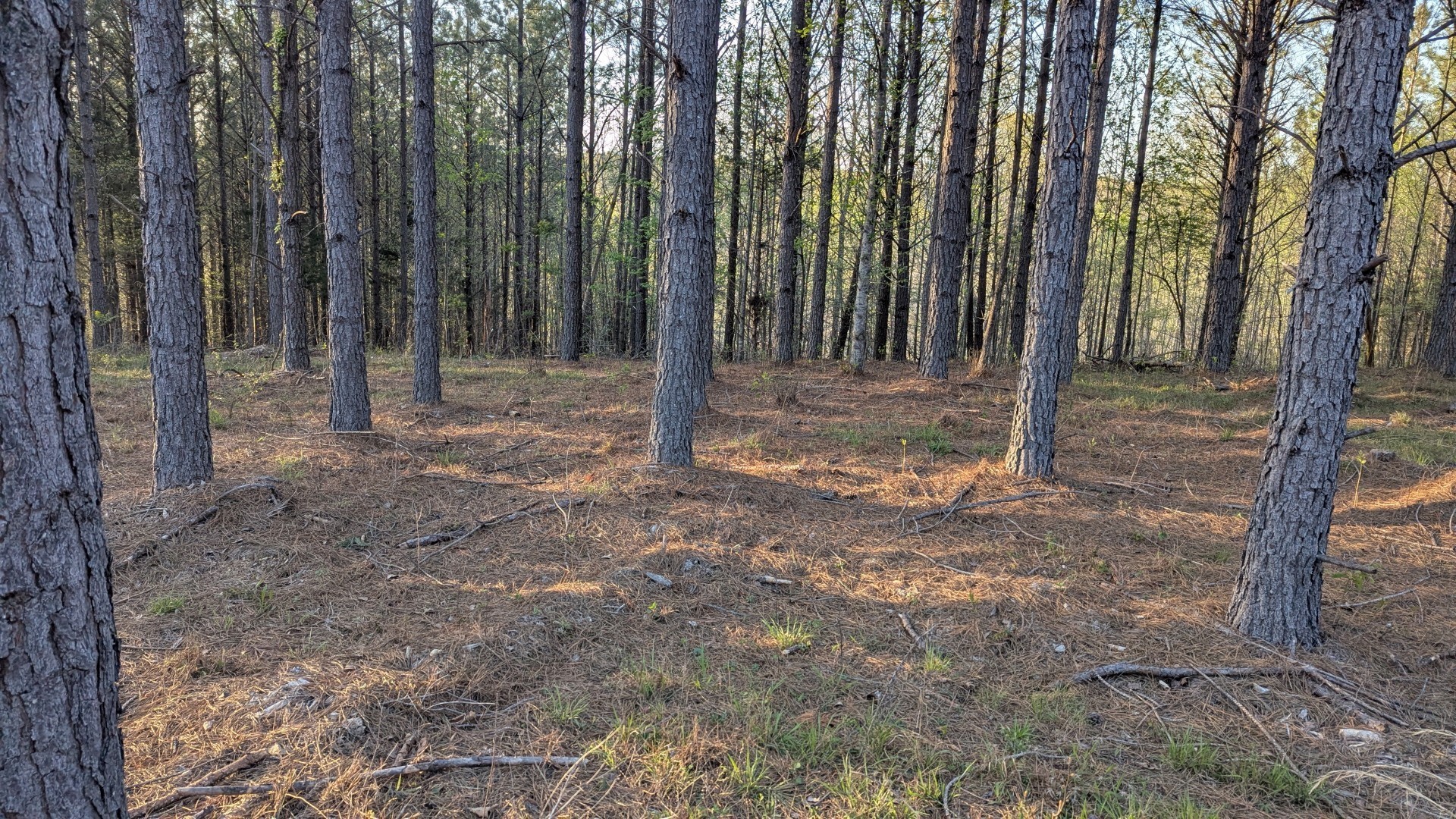 628 Starlight Dr Property Photo 3