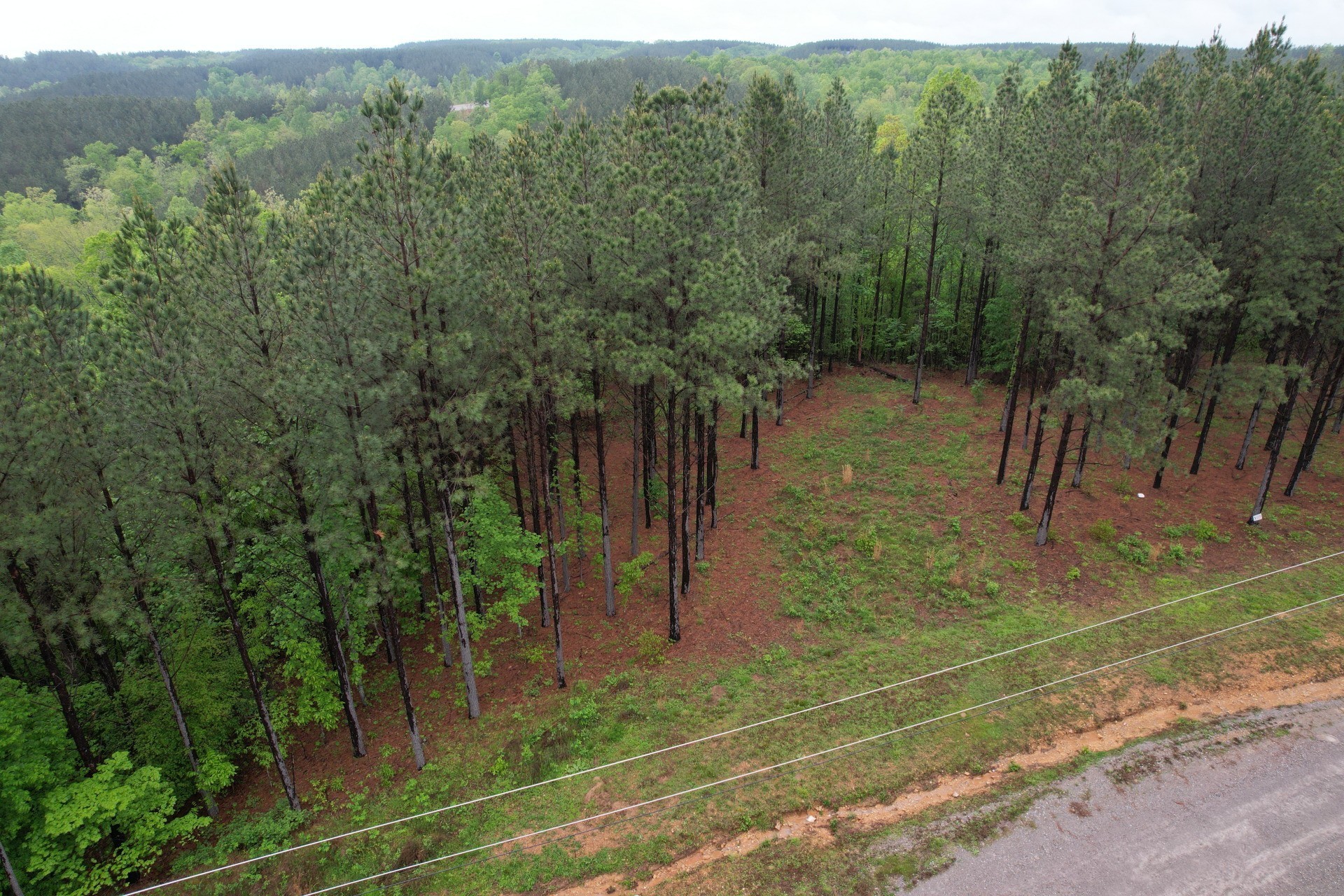628 Starlight Dr Property Photo 5