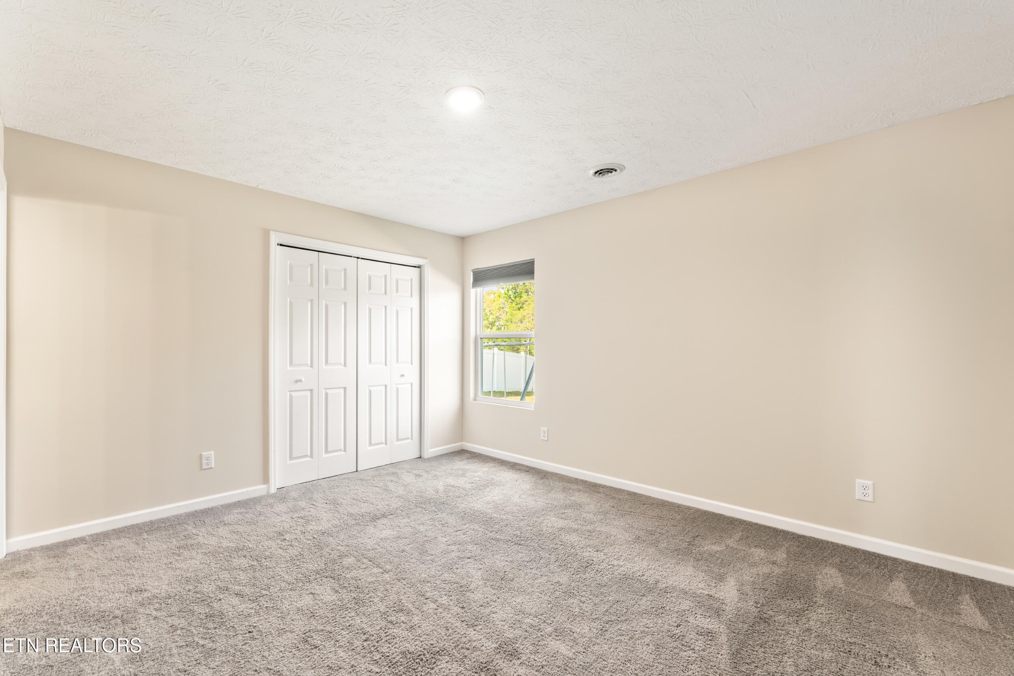 234 Sapling Lane Property Photo 21