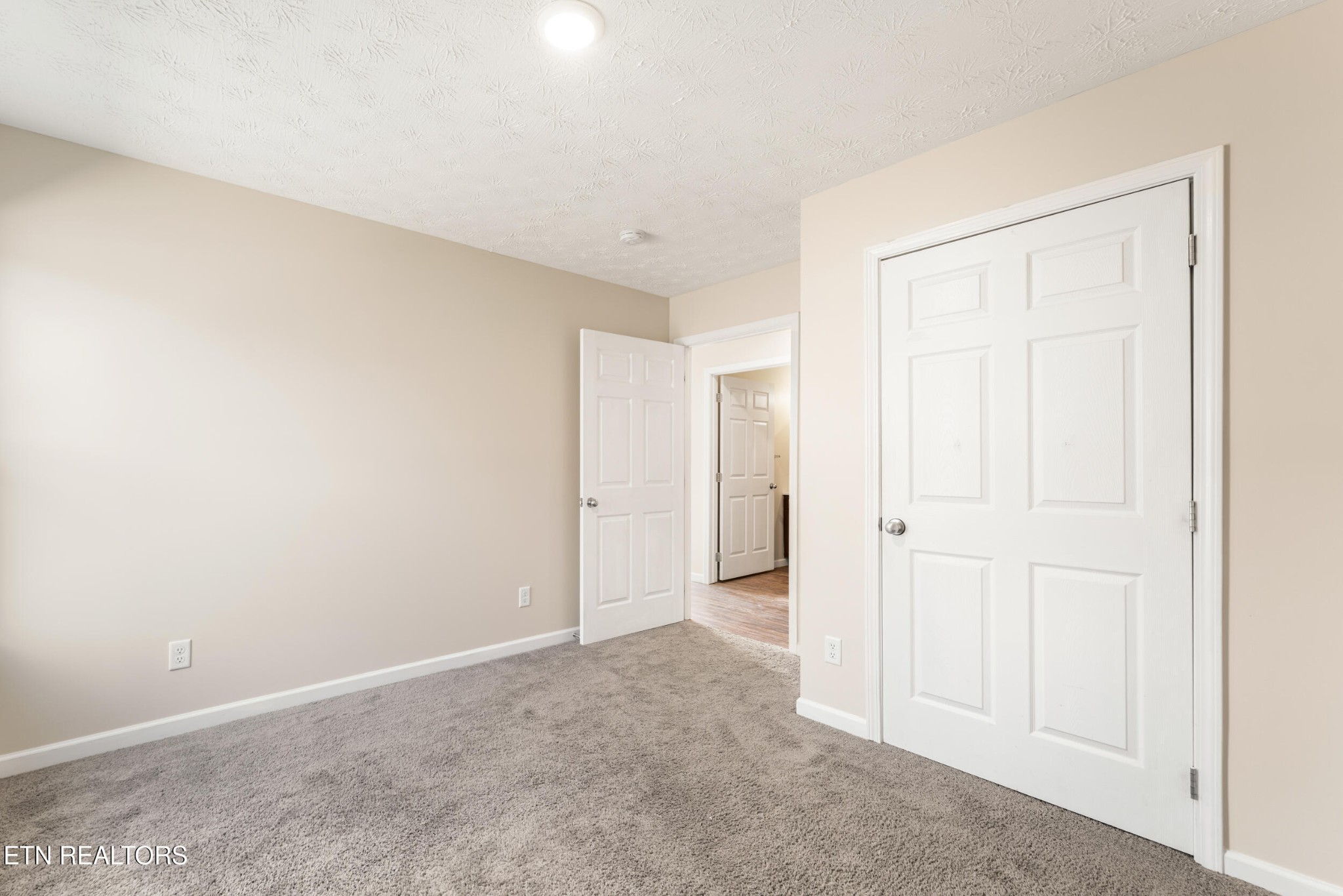 234 Sapling Lane Property Photo 25