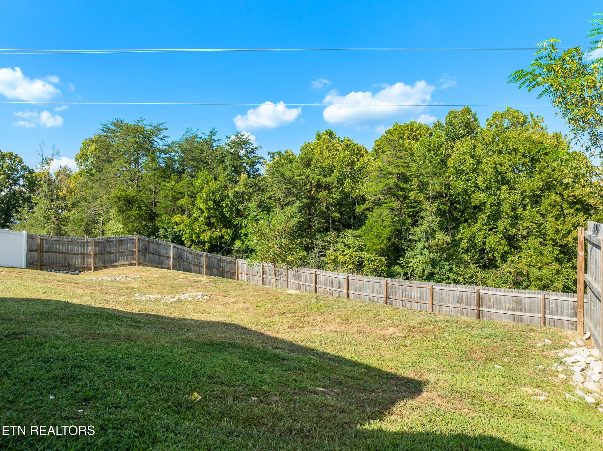 234 Sapling Lane Property Photo 29