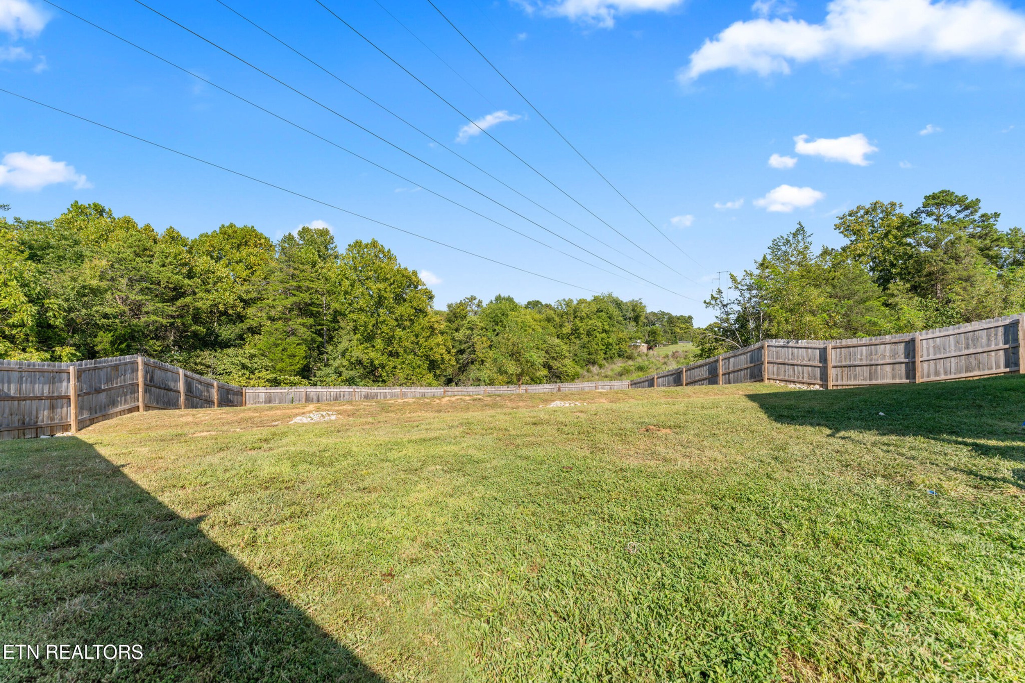 234 Sapling Lane Property Photo 30