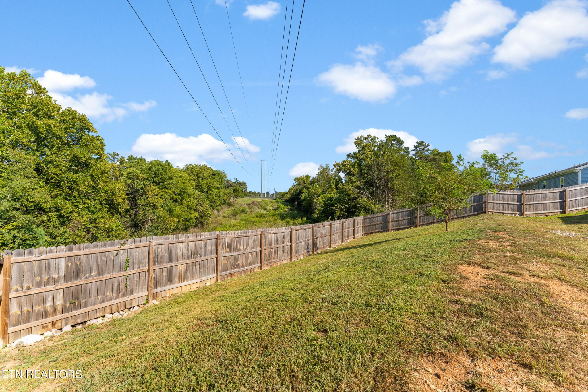 234 Sapling Lane Property Photo 31