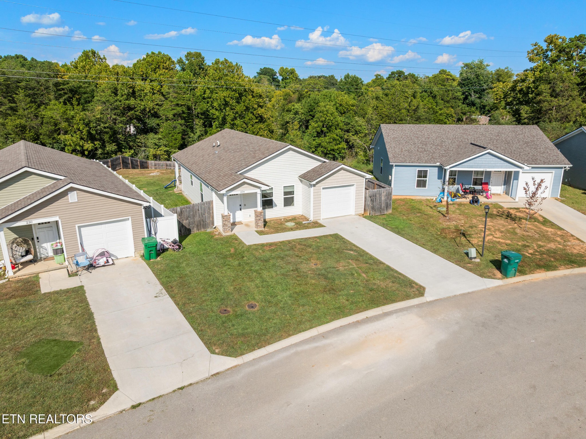 234 Sapling Lane Property Photo 41