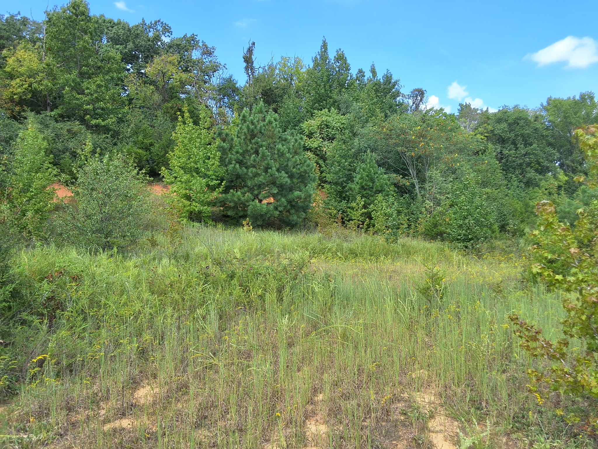 4675 Benders Ferry Rd Property Photo 3