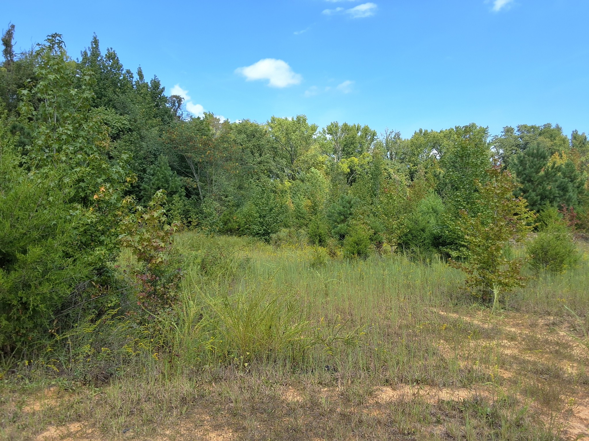 4675 Benders Ferry Rd Property Photo 8