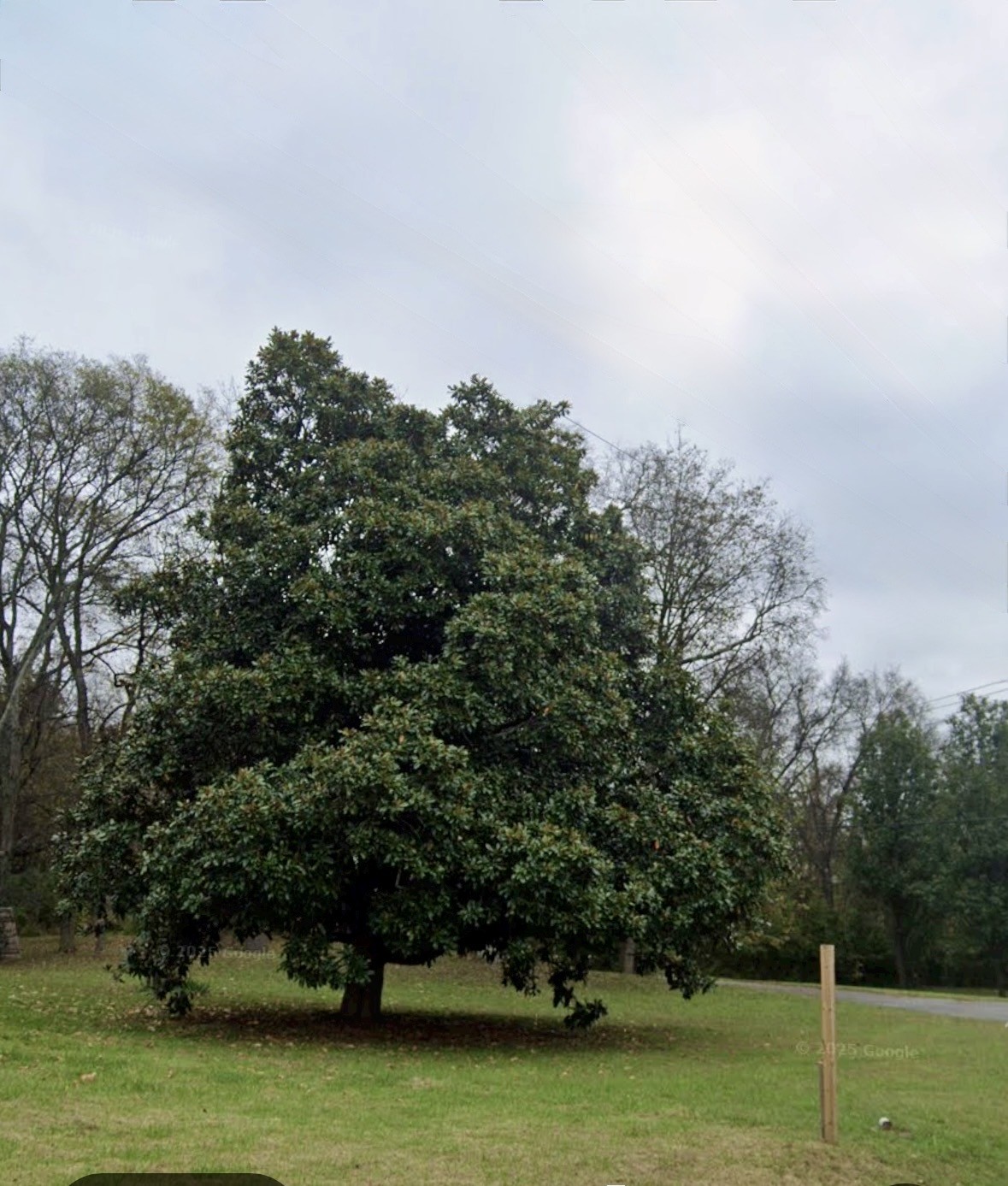 0 Old Hickory Blvd Property Photo 1