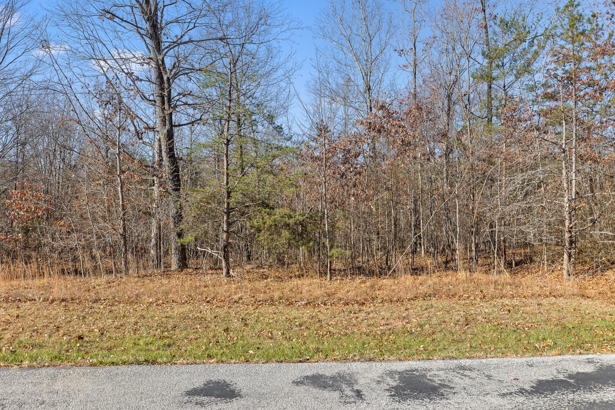337 Bluff View Drive, W Property Photo 8
