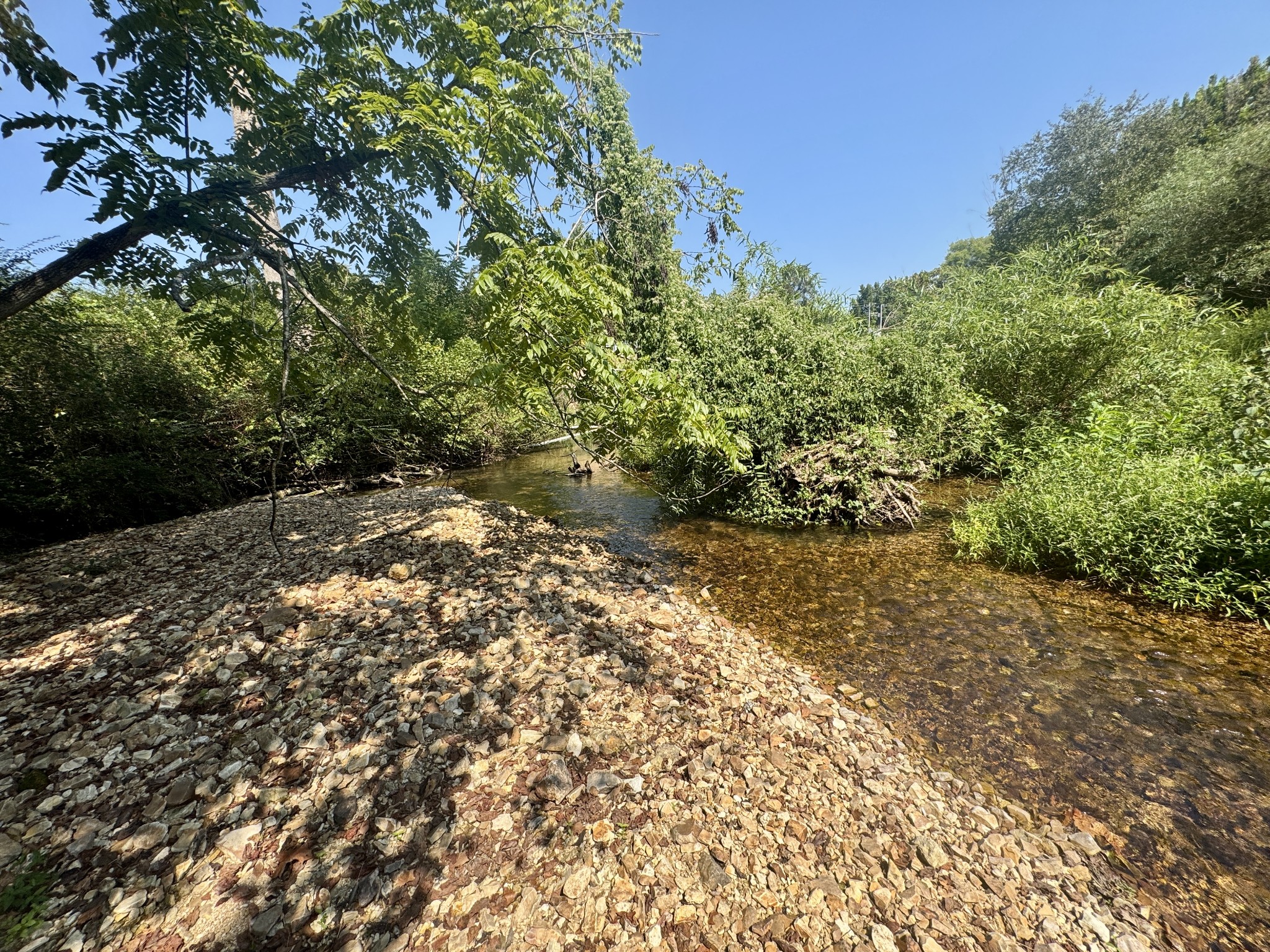 7581 Highway 438, W Property Photo 1