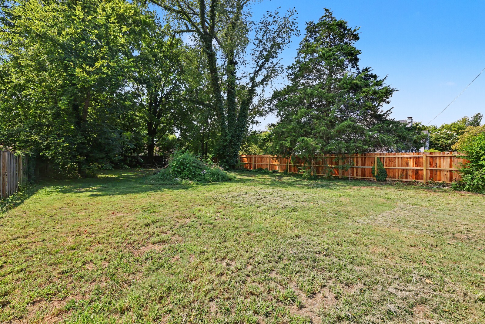 1004 E Vine St Property Photo 6