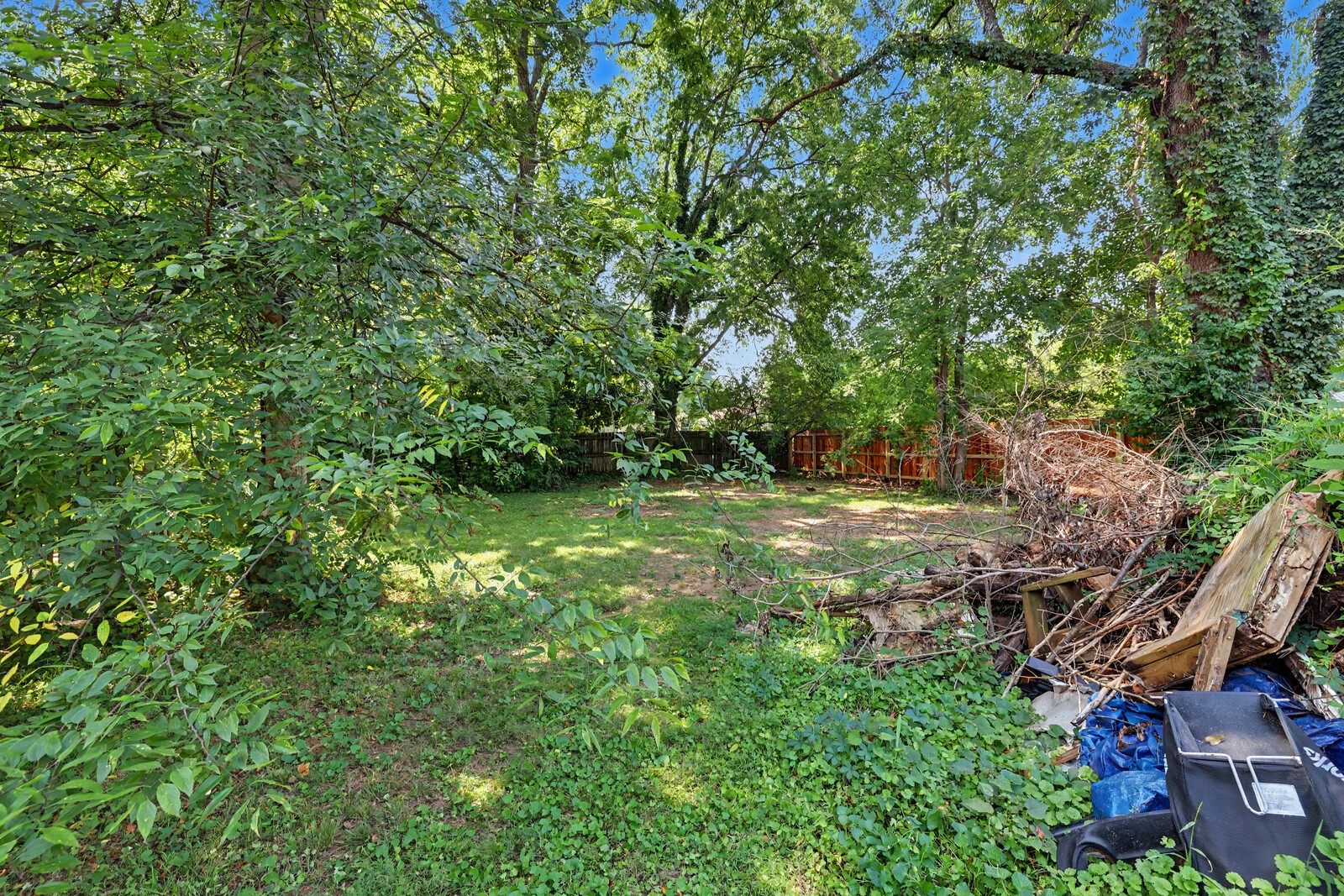 1004 E Vine St Property Photo 8