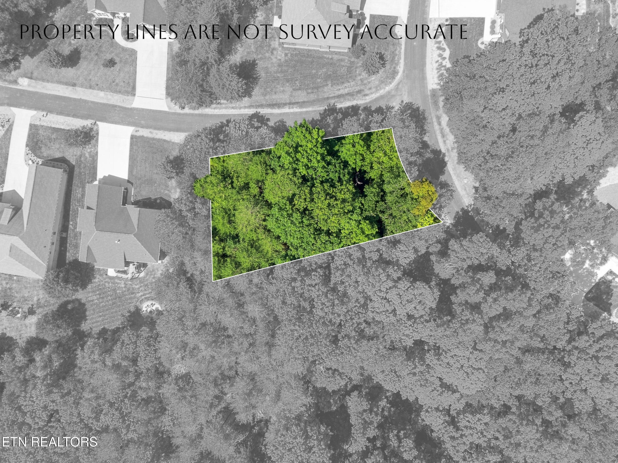 349 Dudala Way Property Photo 4