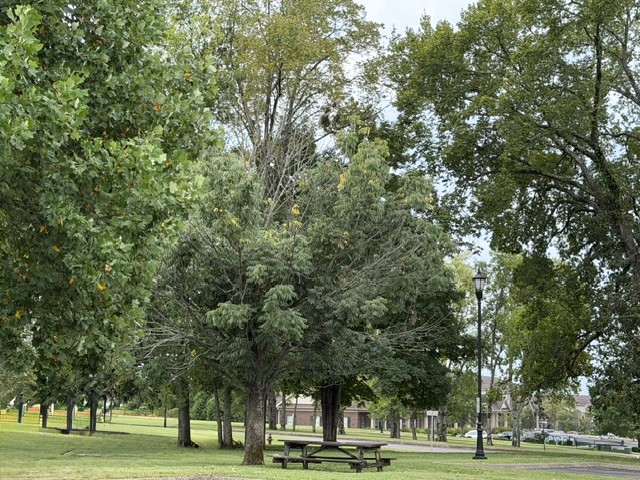 1525 Hunt Club Blvd Property Photo 4