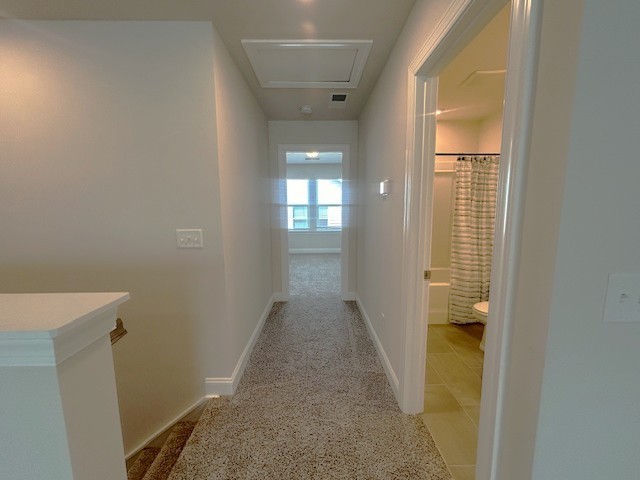 1248 Dutch Peak Property Photo 39