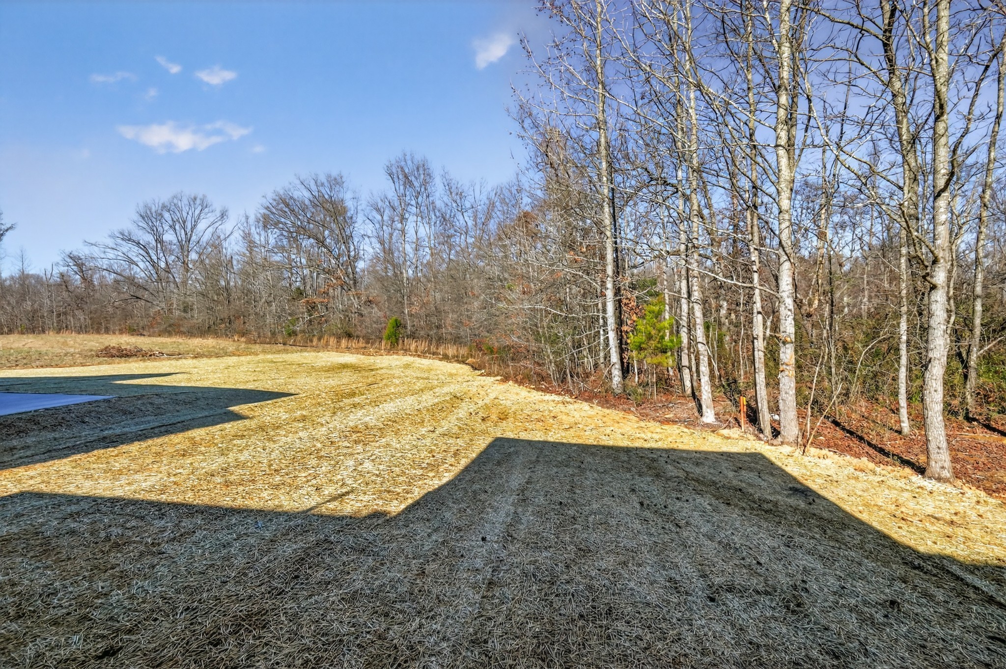 336 N Fork Branch Rd Property Photo 29