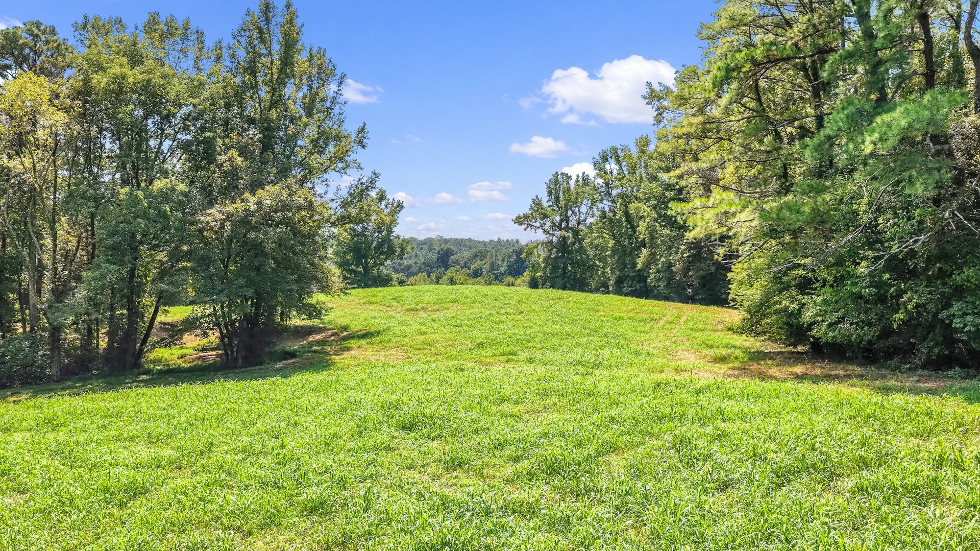 9960 Darden Christian Chapel Rd Property Photo 1