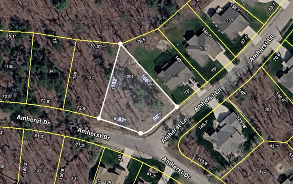 201 Amherst Ln Property Photo 1