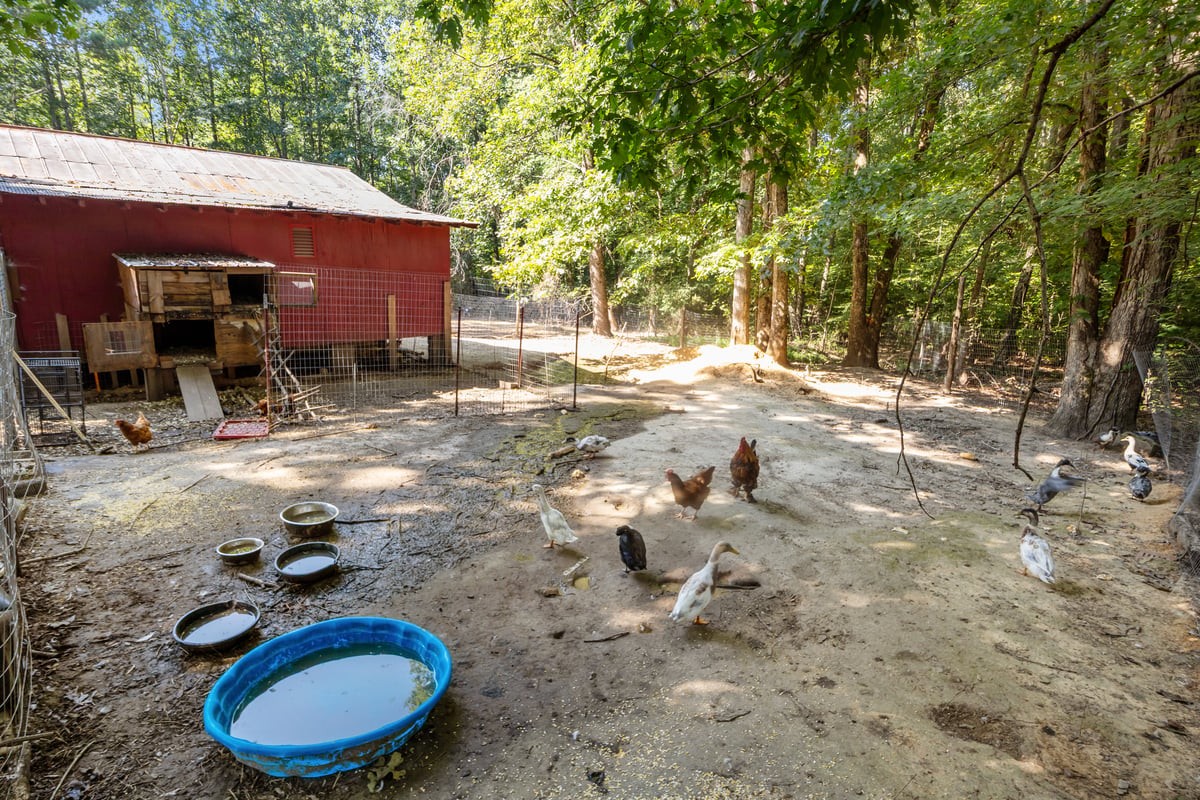 3770 Flatwoods Rd Property Photo 16