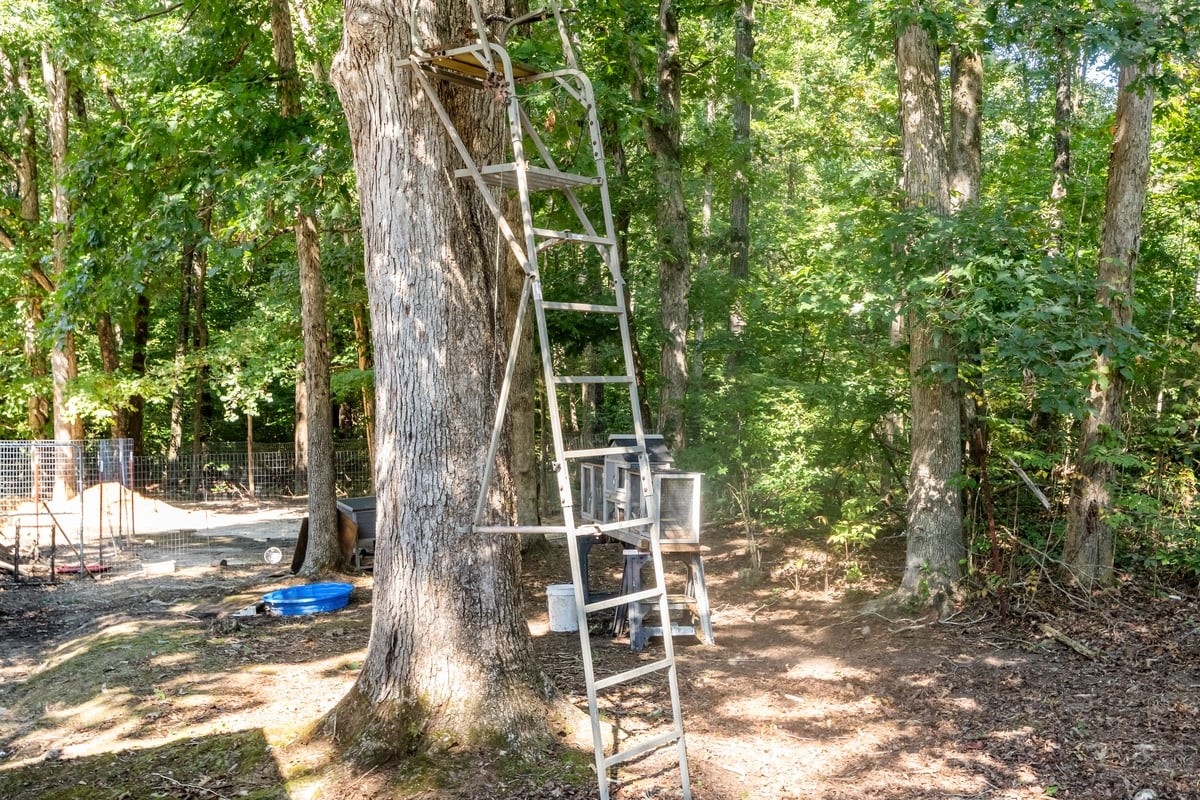3770 Flatwoods Rd Property Photo 19