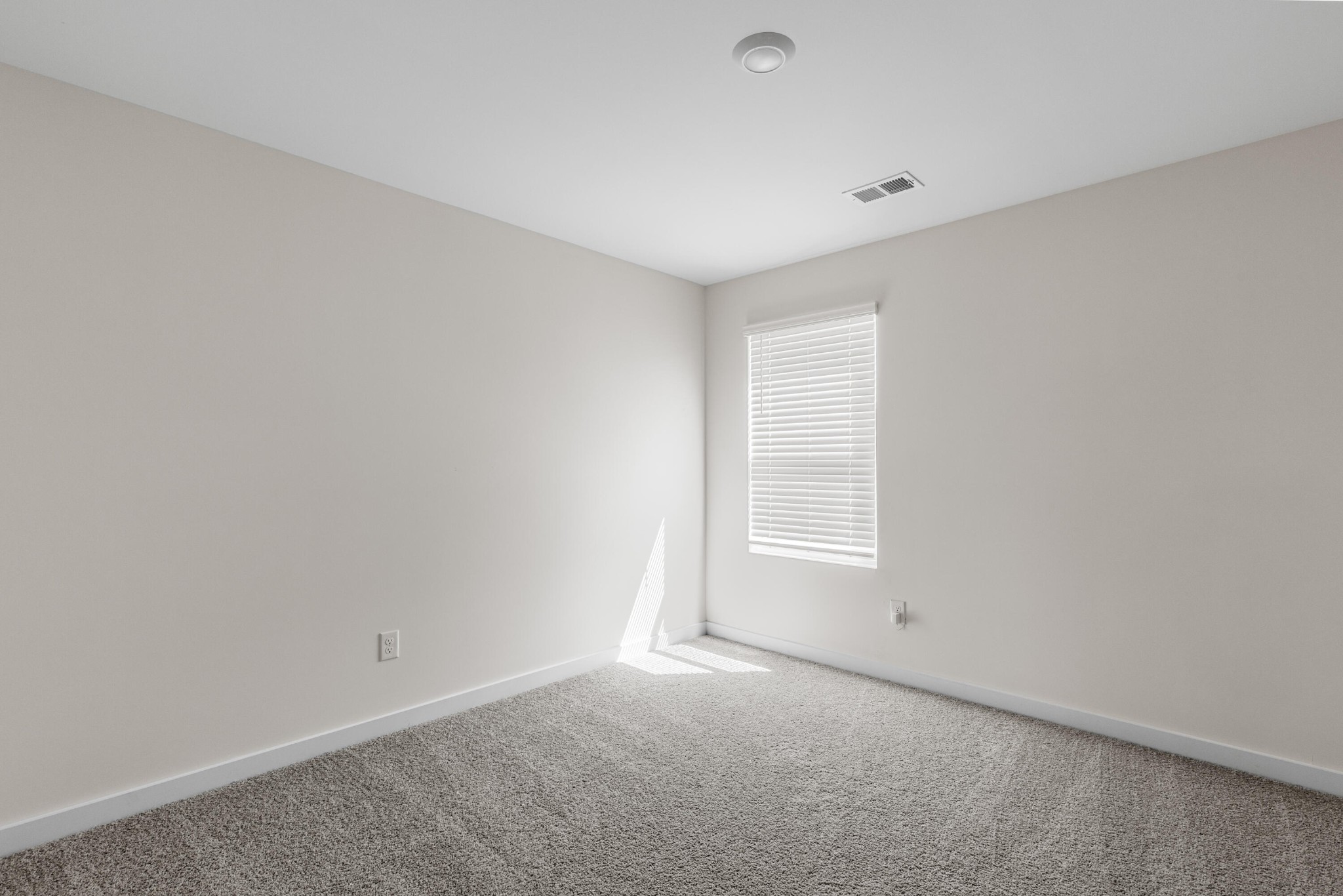 19 Quarter Street Property Photo 19