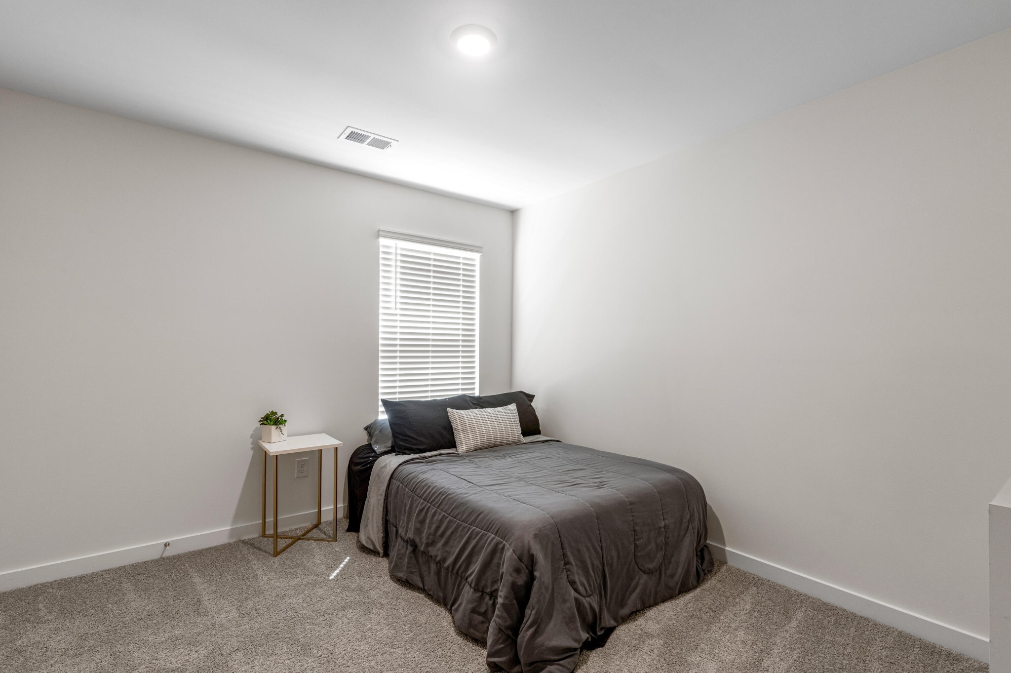 19 Quarter Street Property Photo 20