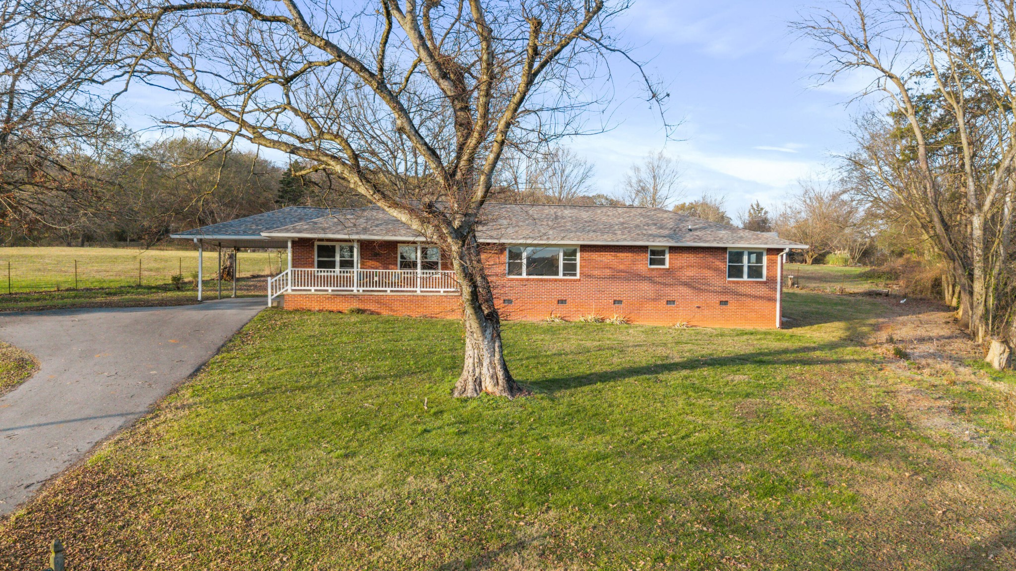 128 Scott Street, Ne Property Photo 2