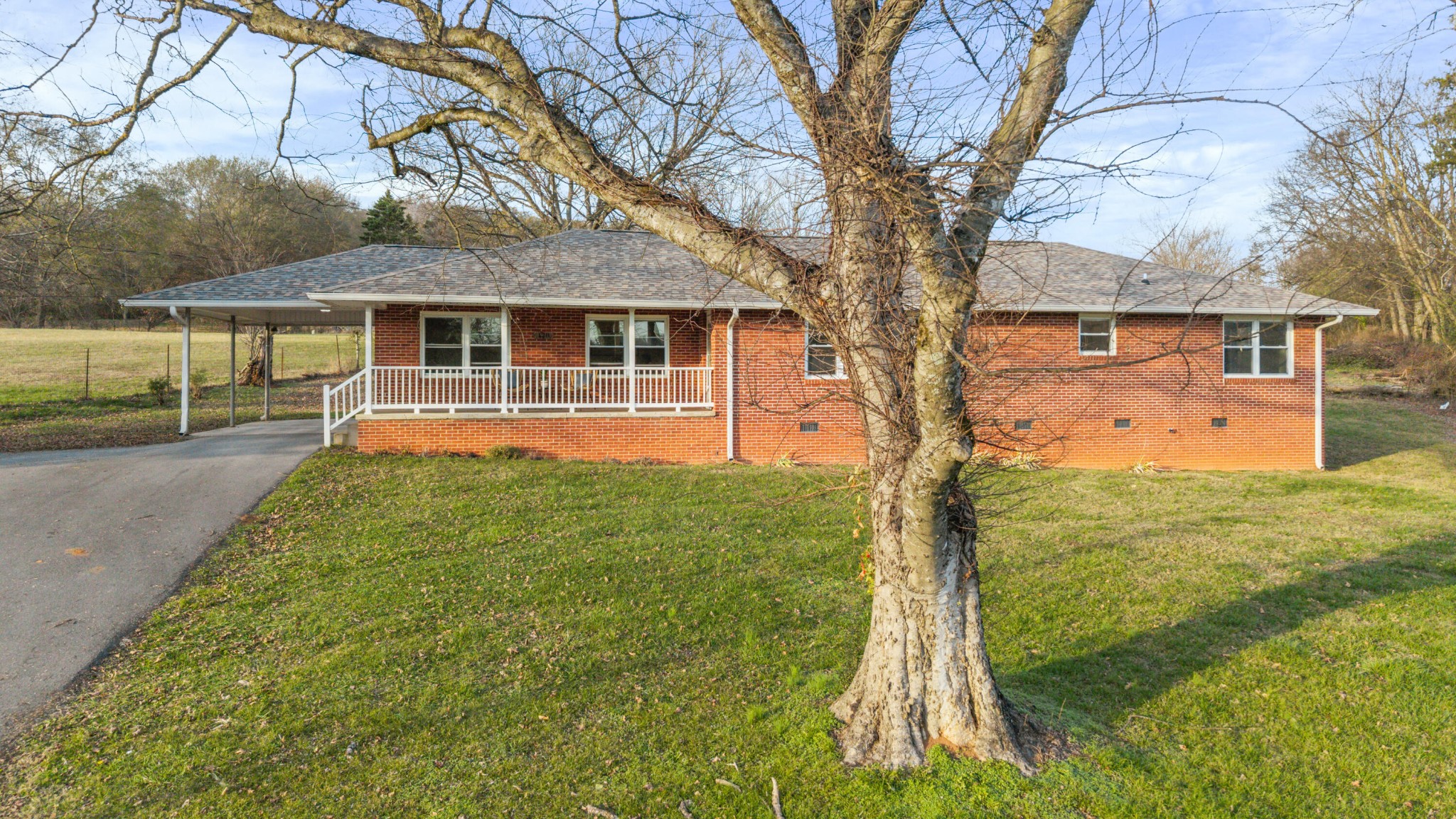 128 Scott Street, Ne Property Photo 4