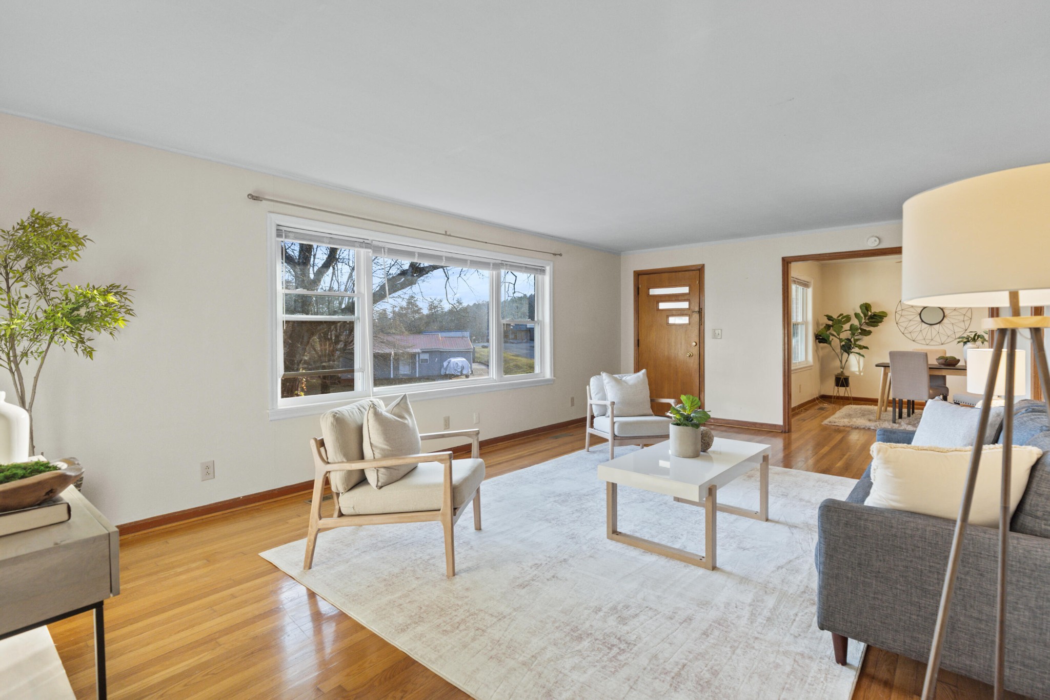 128 Scott Street, Ne Property Photo 9