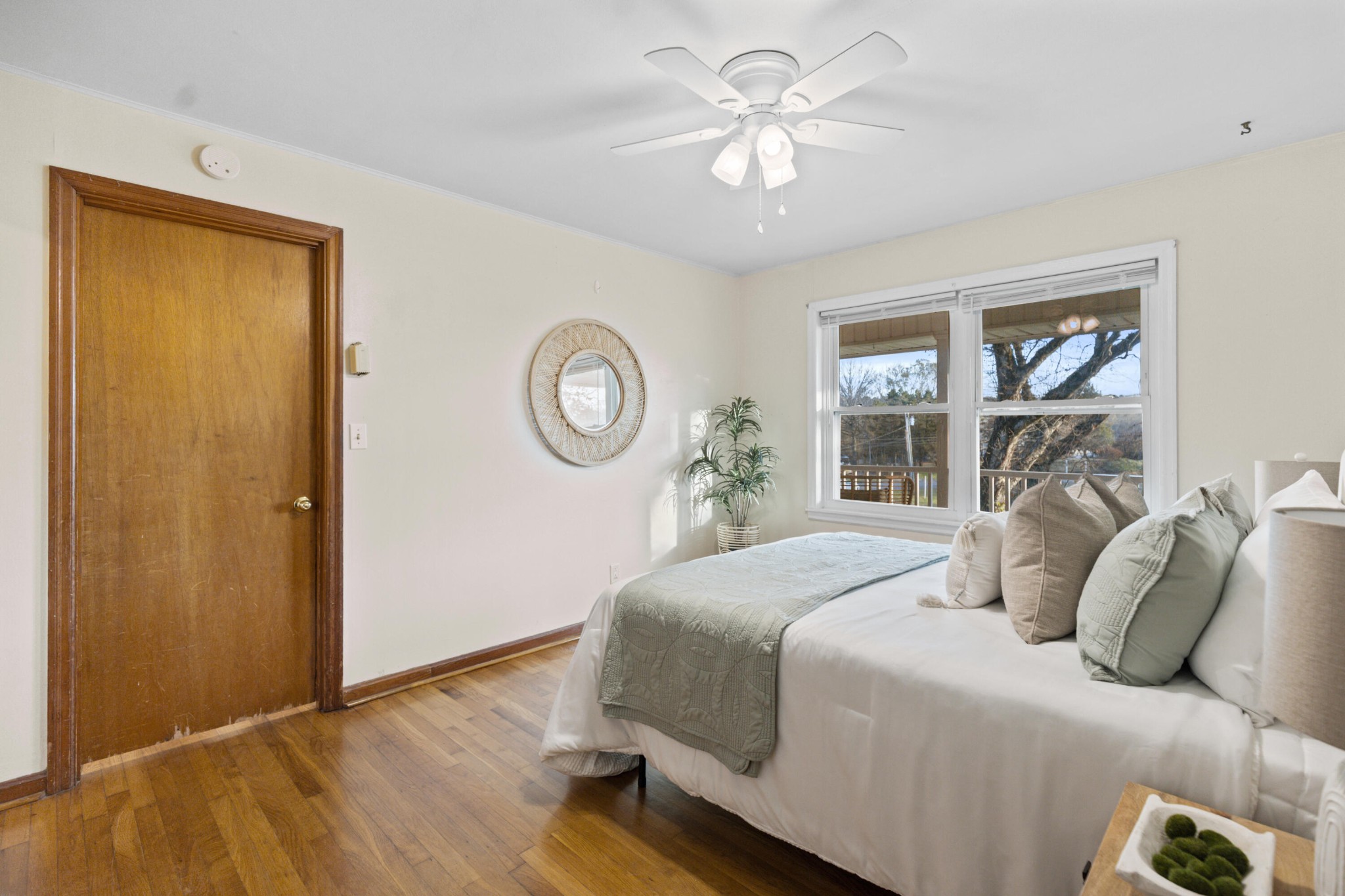 128 Scott Street, Ne Property Photo 28