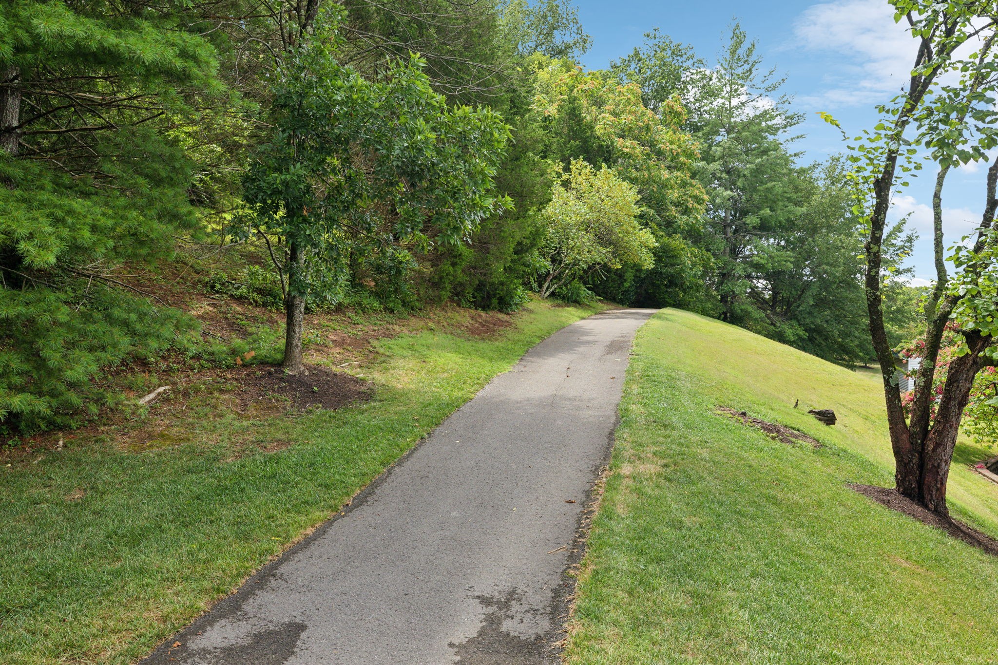 1017 Park Run Dr Property Photo 33