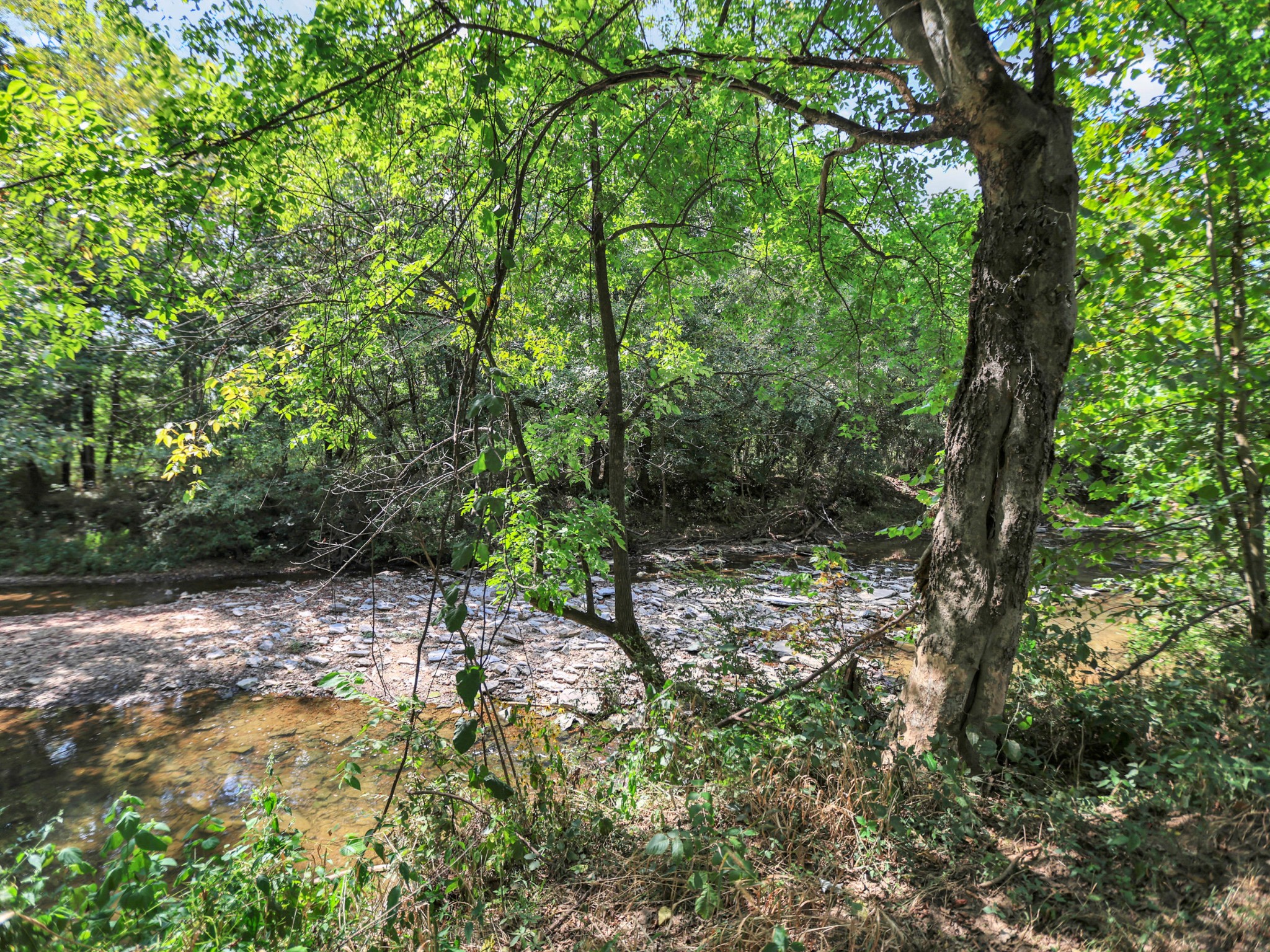1405 Drakes Creek Rd Property Photo 61