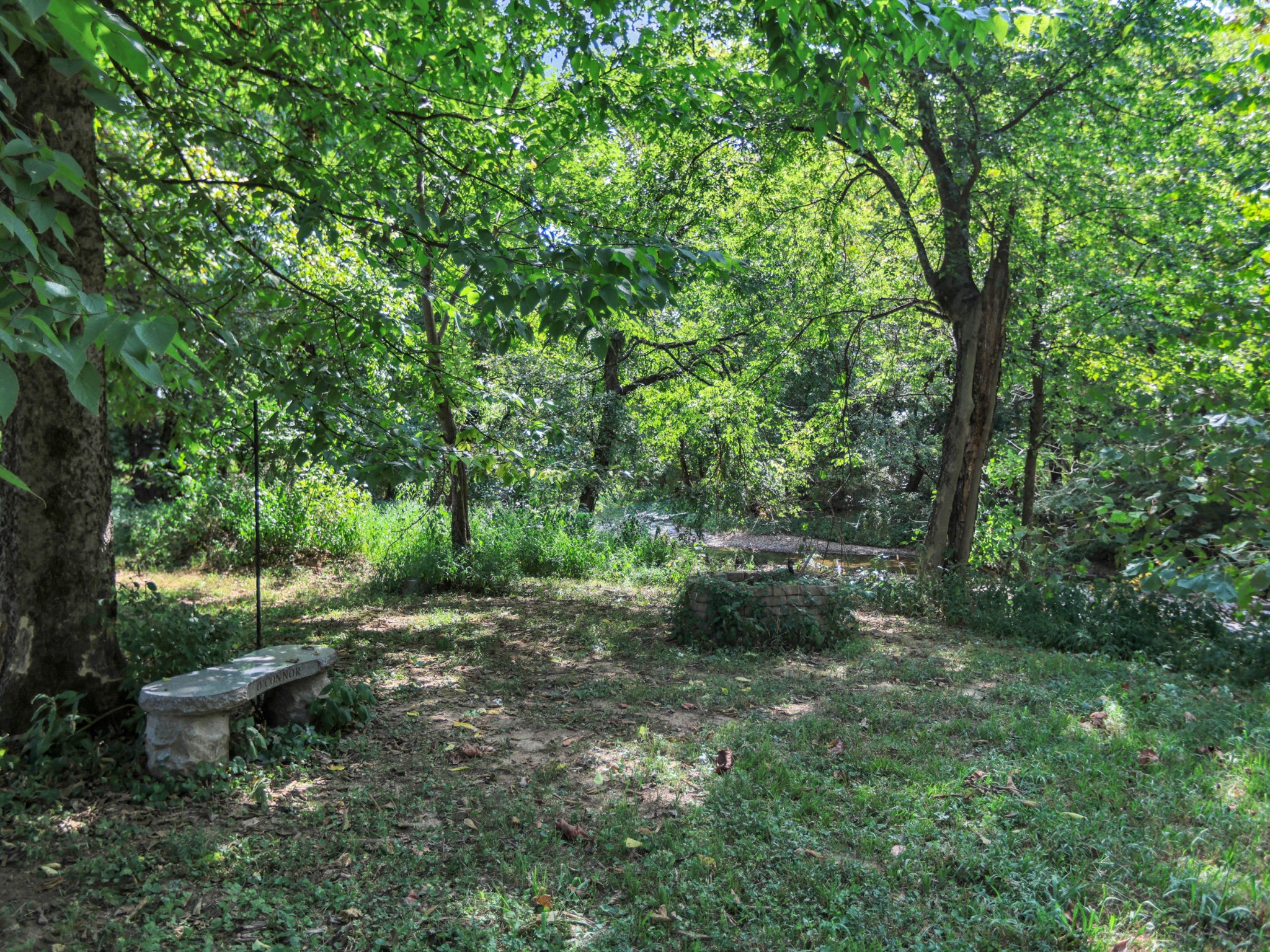1405 Drakes Creek Rd Property Photo 62