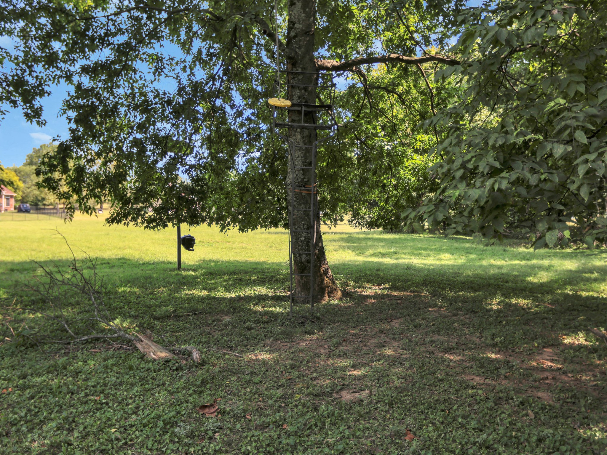 1405 Drakes Creek Rd Property Photo 63