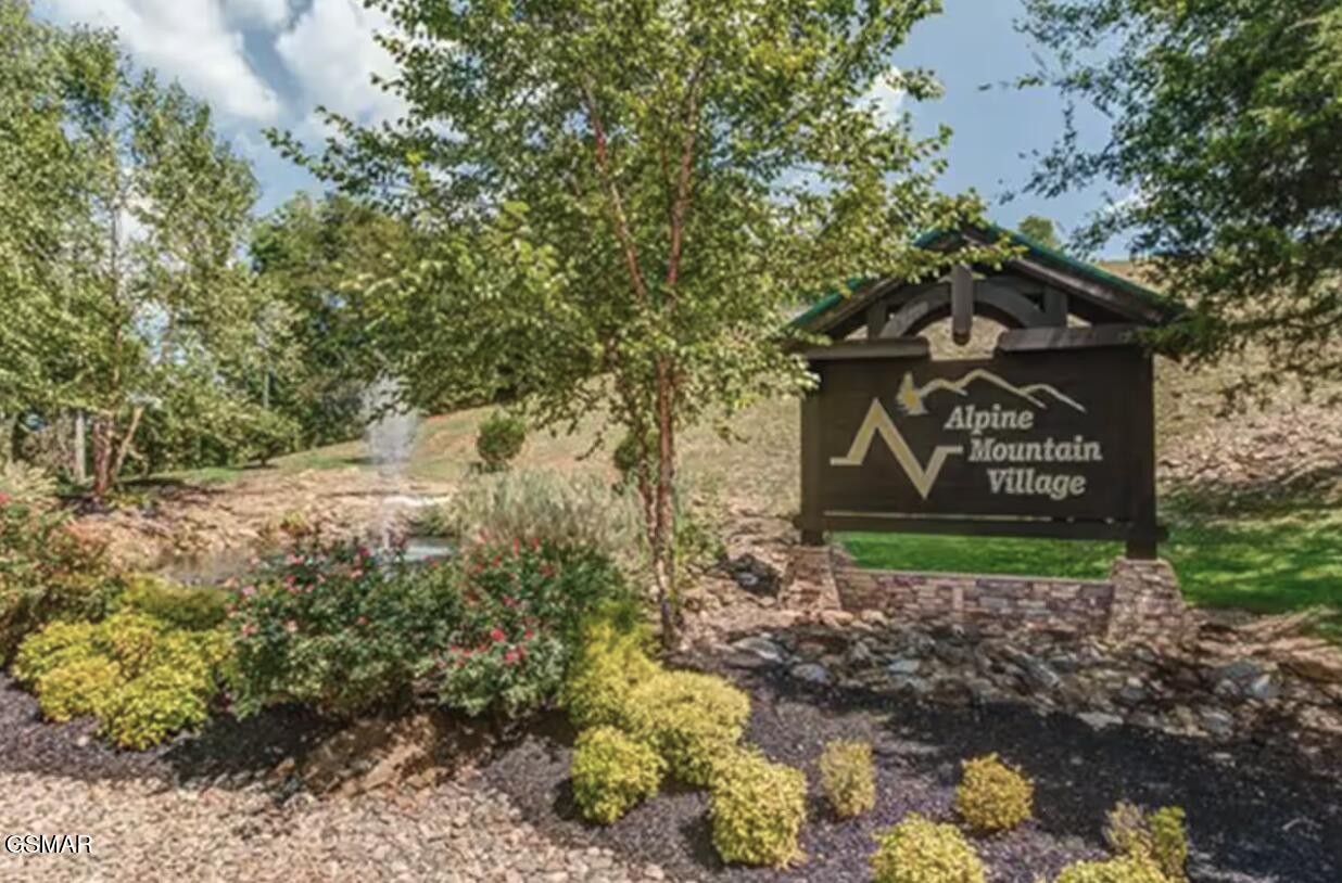 234 Alpine Mountain Way Property Photo 9