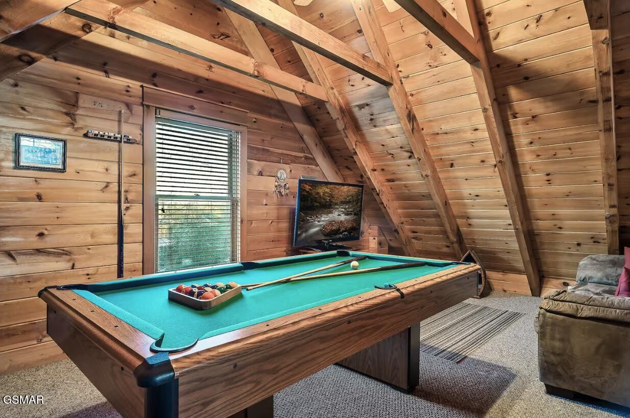 234 Alpine Mountain Way Property Photo 28
