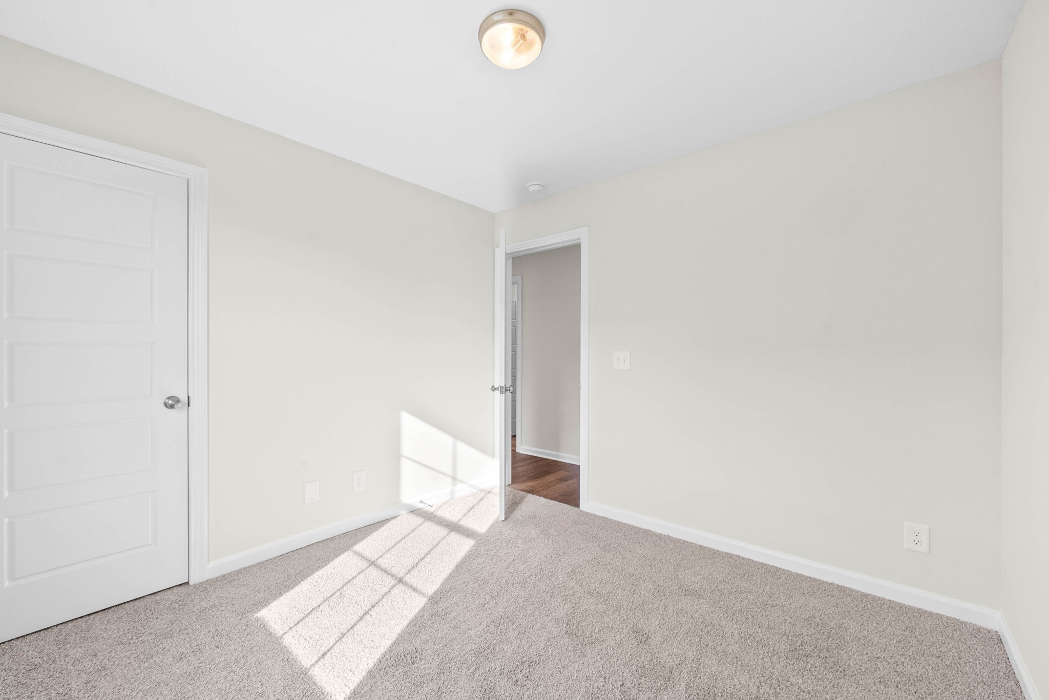 1498 Hallies Way Property Photo 19