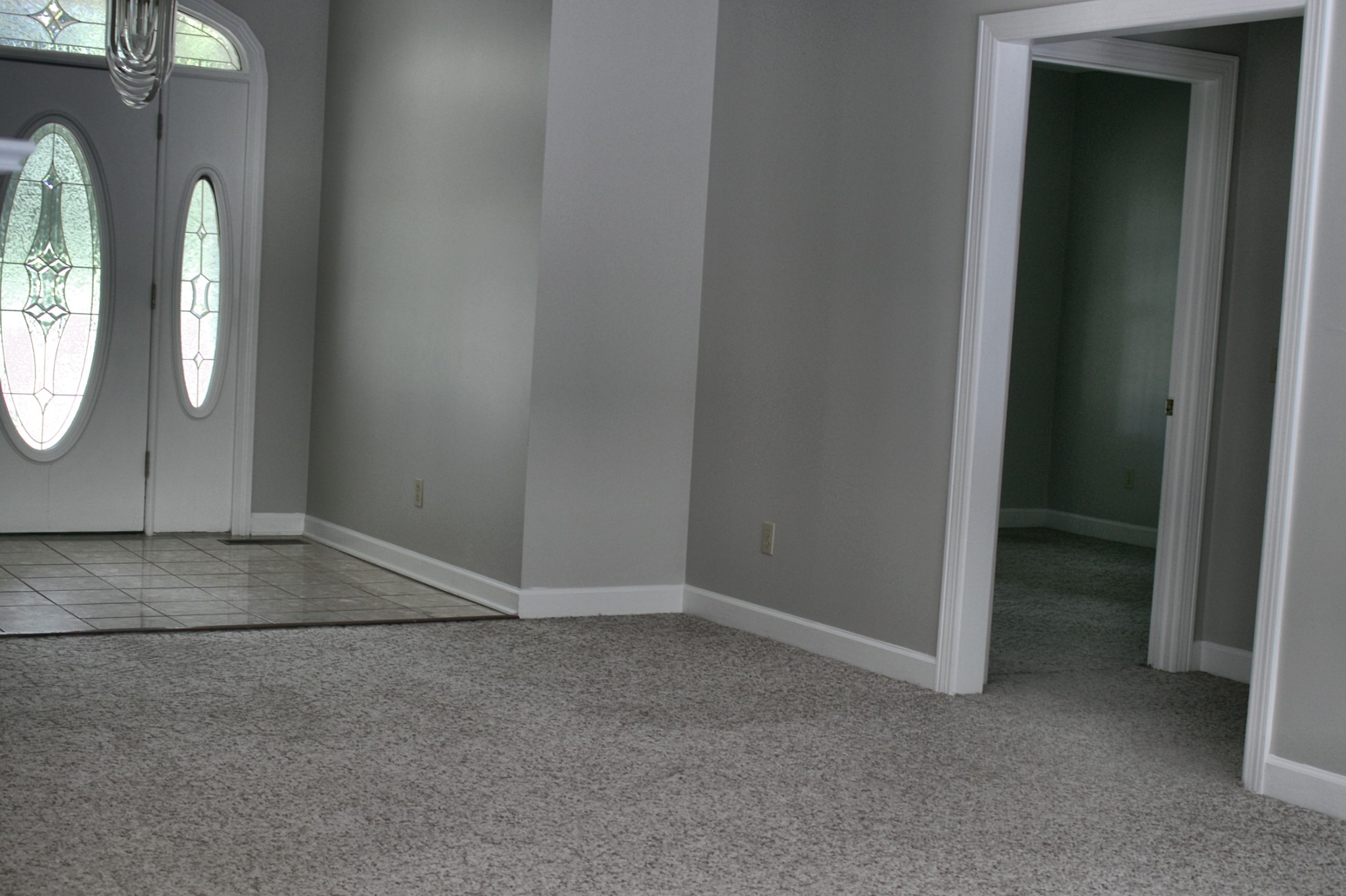 1019 Hilton Ln Property Photo 6