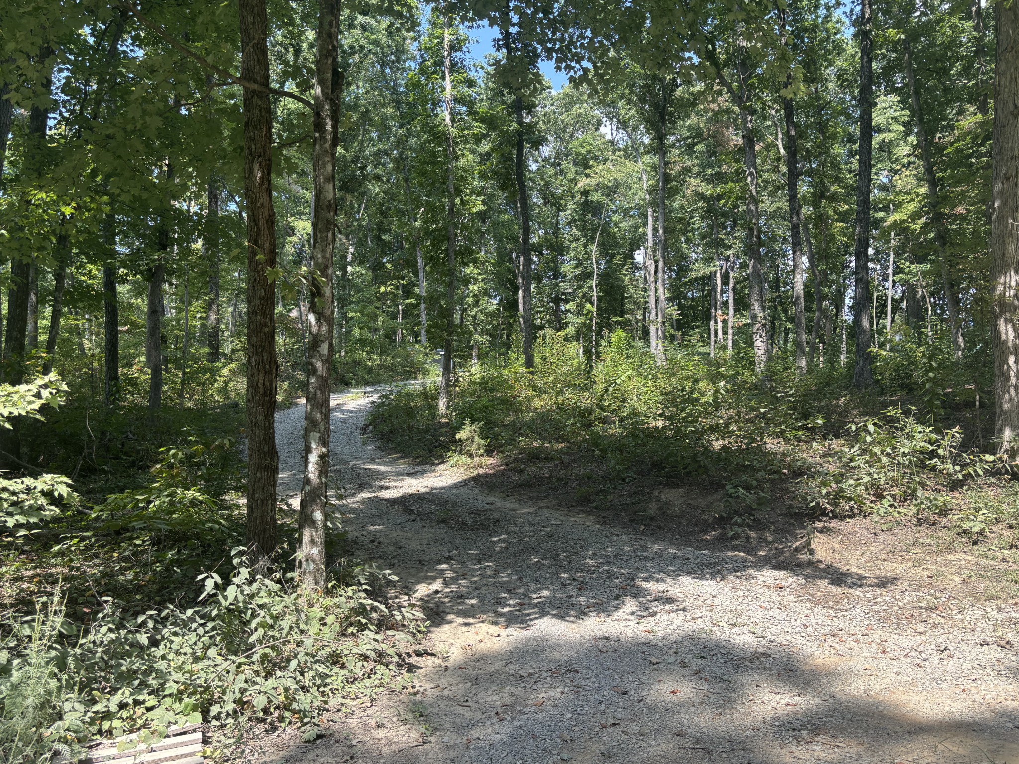 37 Valley Loop Property Photo 1